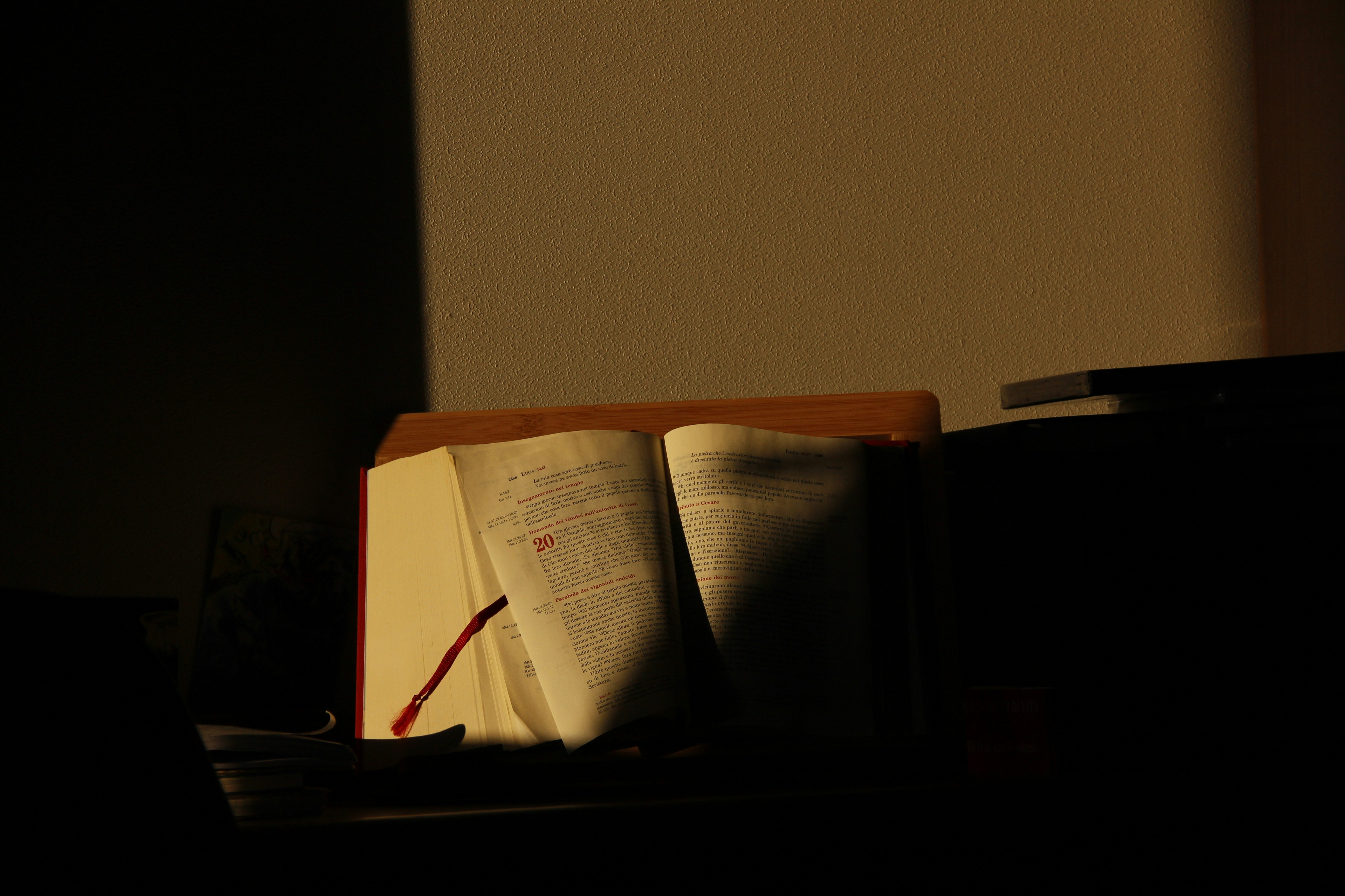 migrantisch gelesen: 5 Bücher, die den Dezember heller und langsamer machen