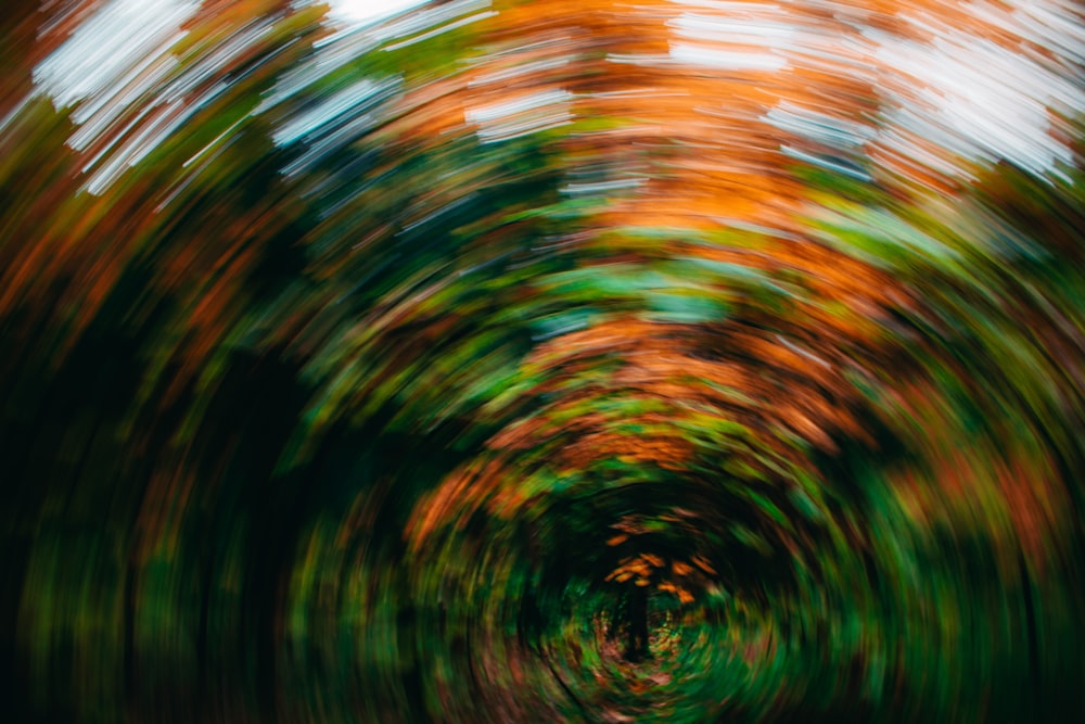 a blurry photo of trees in a forest