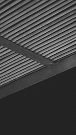 a black and white photo of a building roof