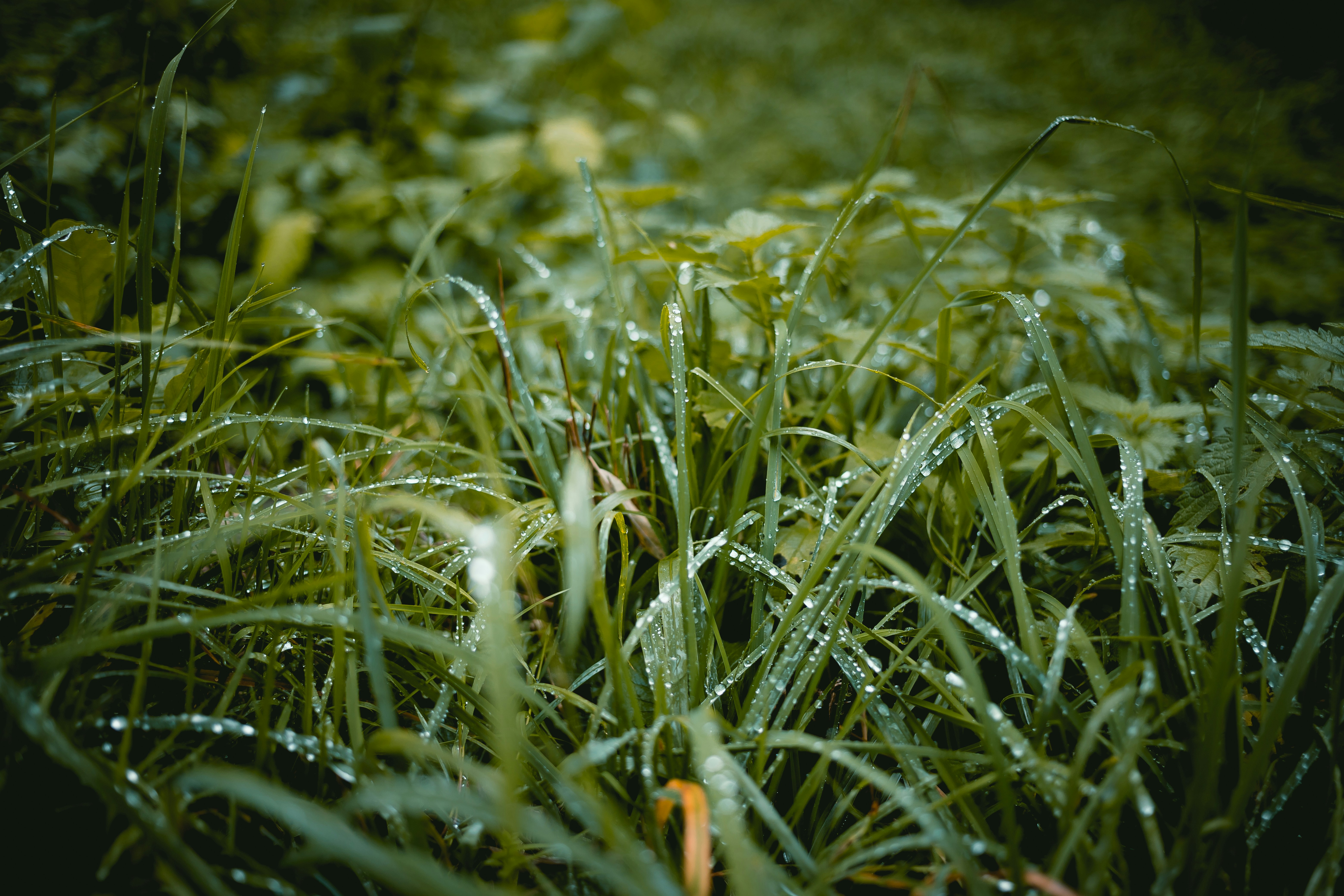 Photo by niklas_hamann