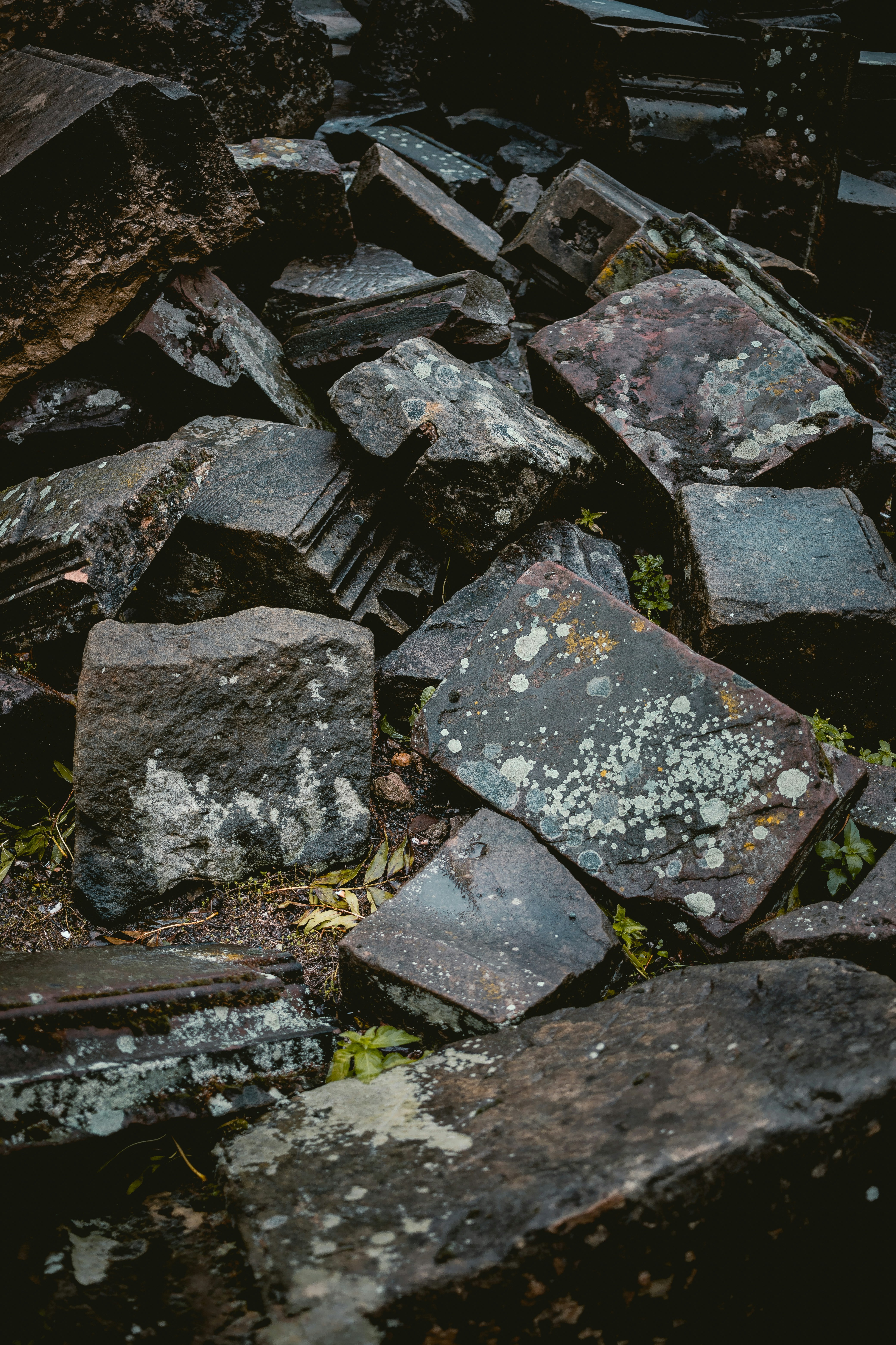 Photo by niklas_hamann