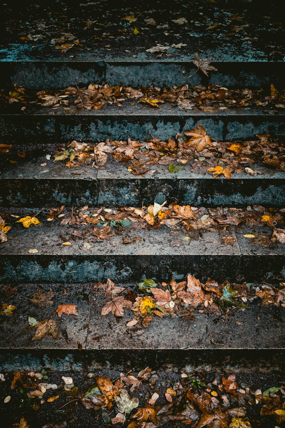 hojas secas esparcidas en una escalera de hormigón
