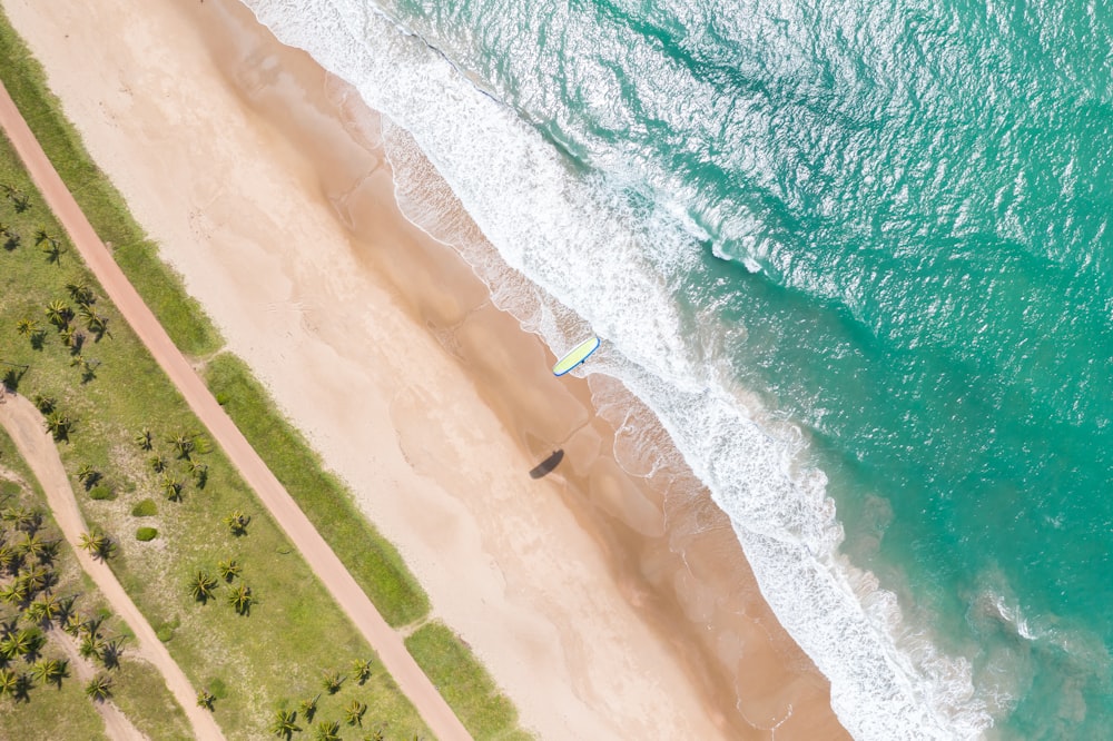 aerial view of seashore at daytime