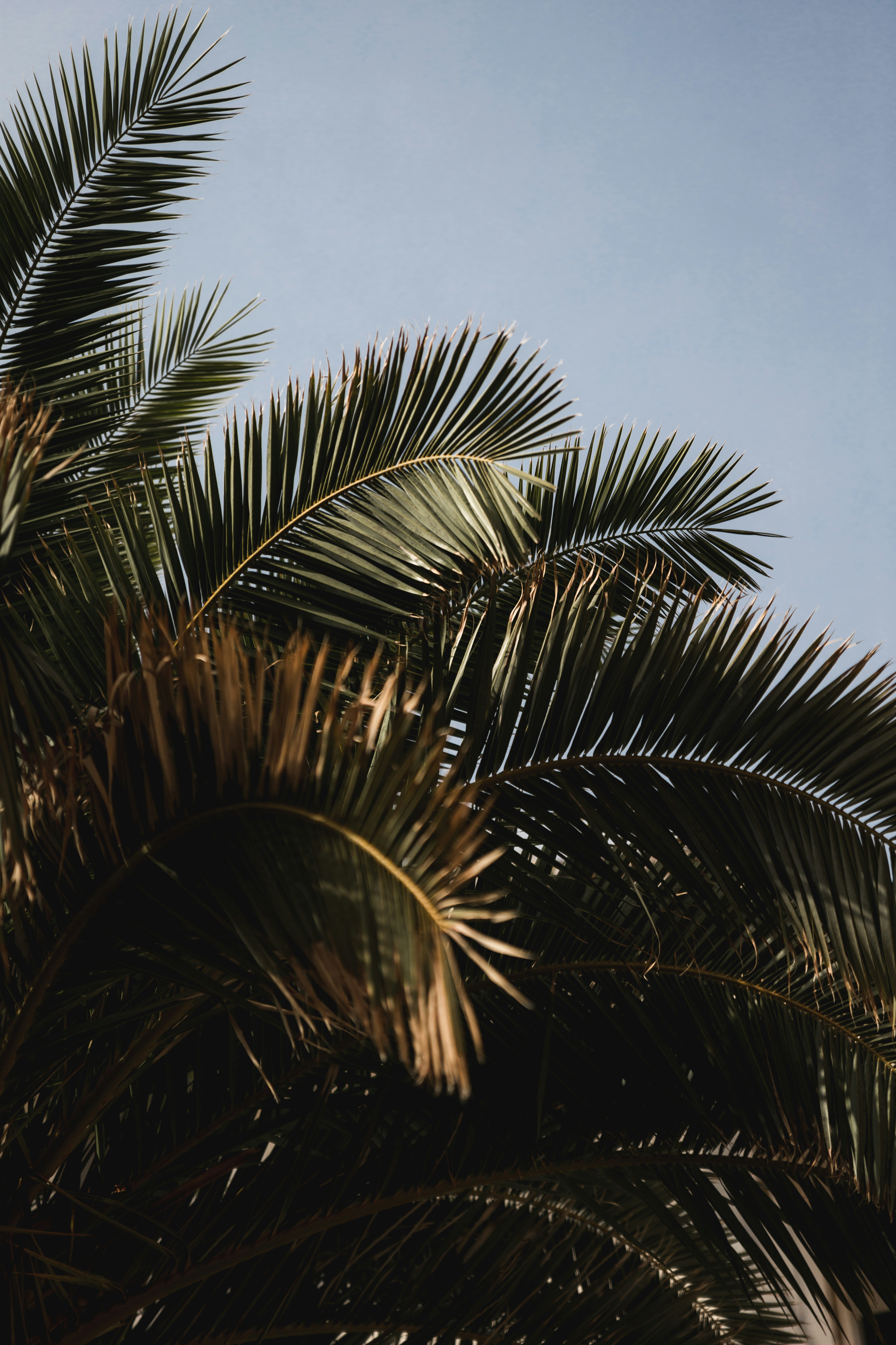 Photo by niclasmoser