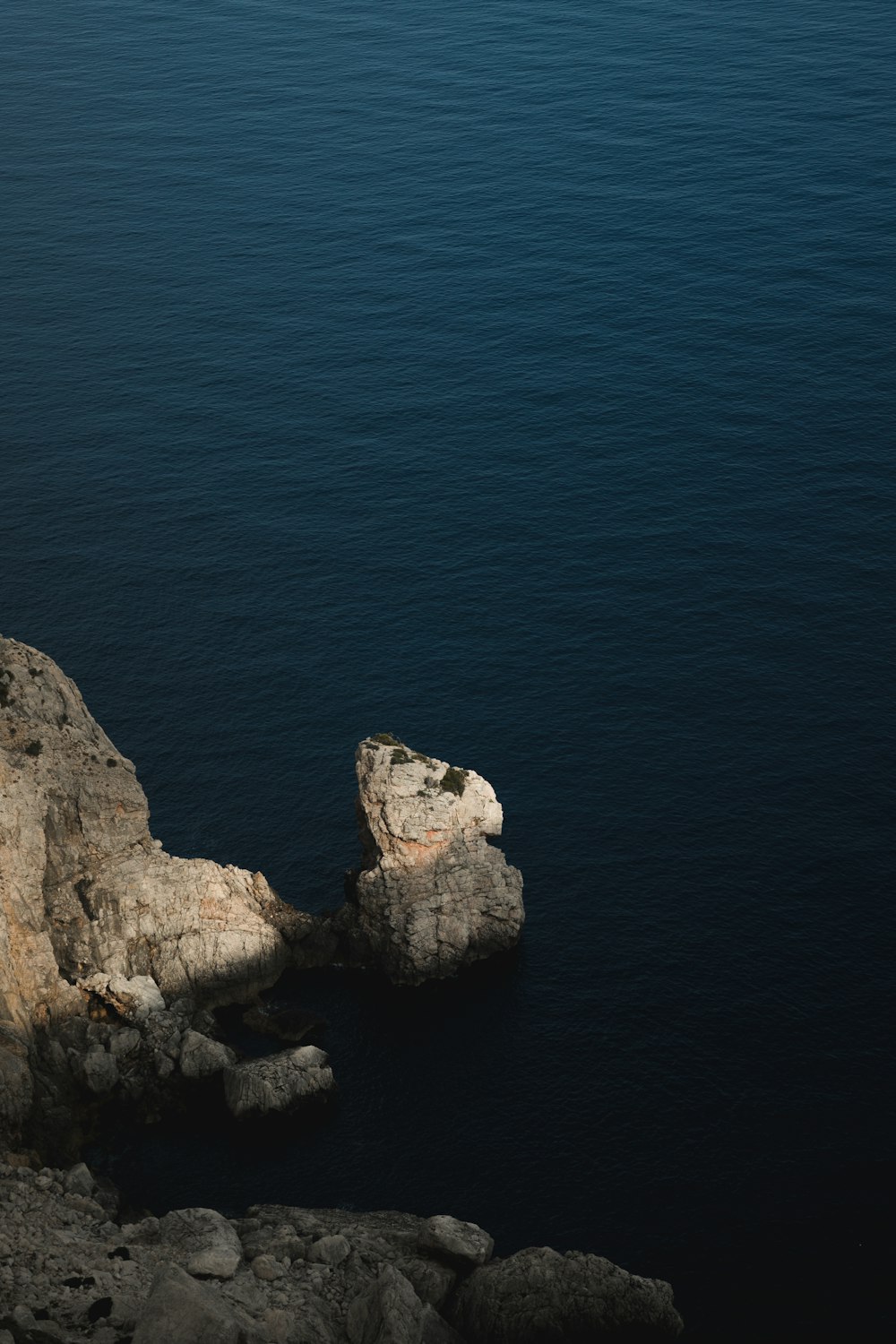 a lone bird sitting on a rock near the ocean