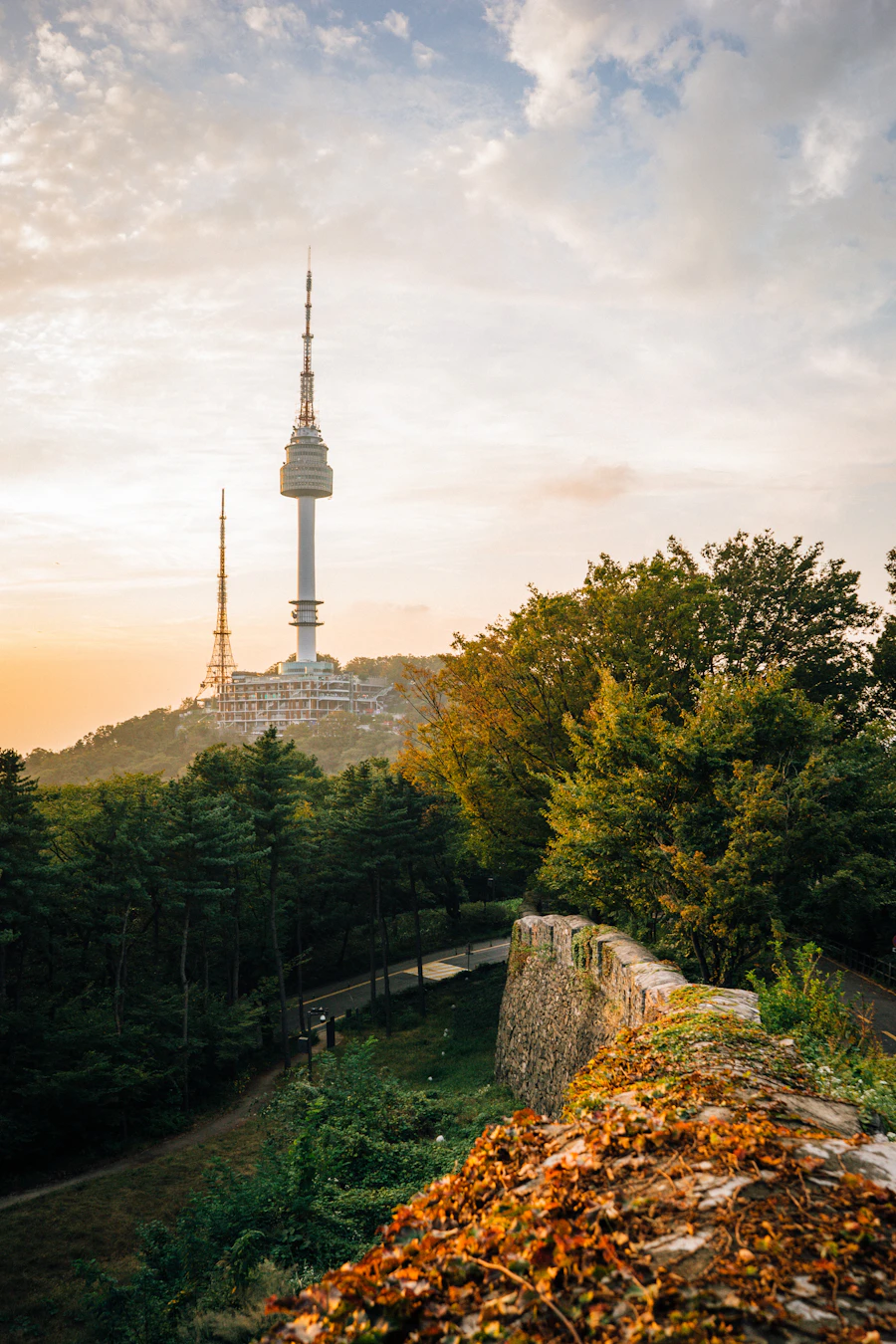 부산의 야경