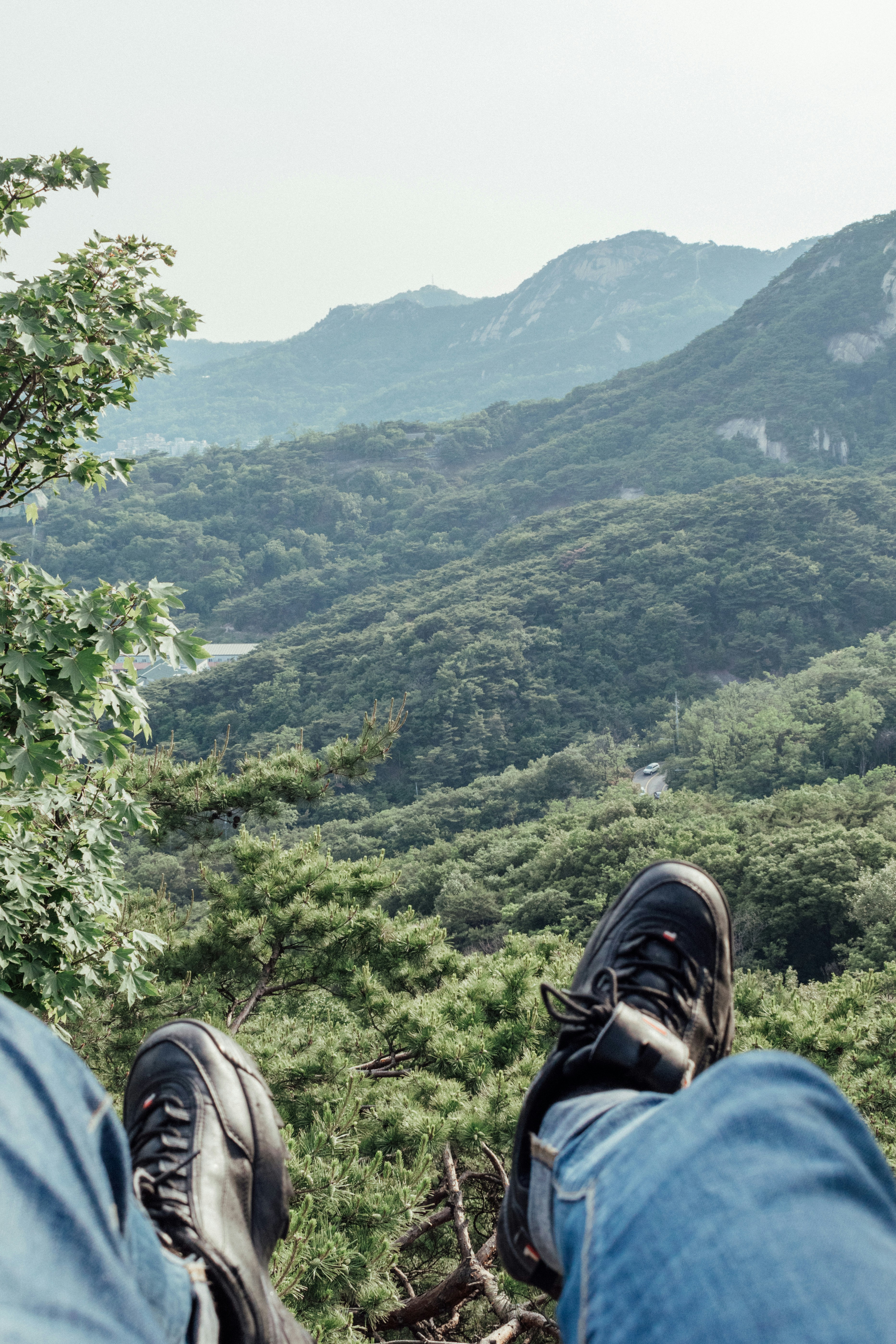 Navigating Seoul's Entertainment Network