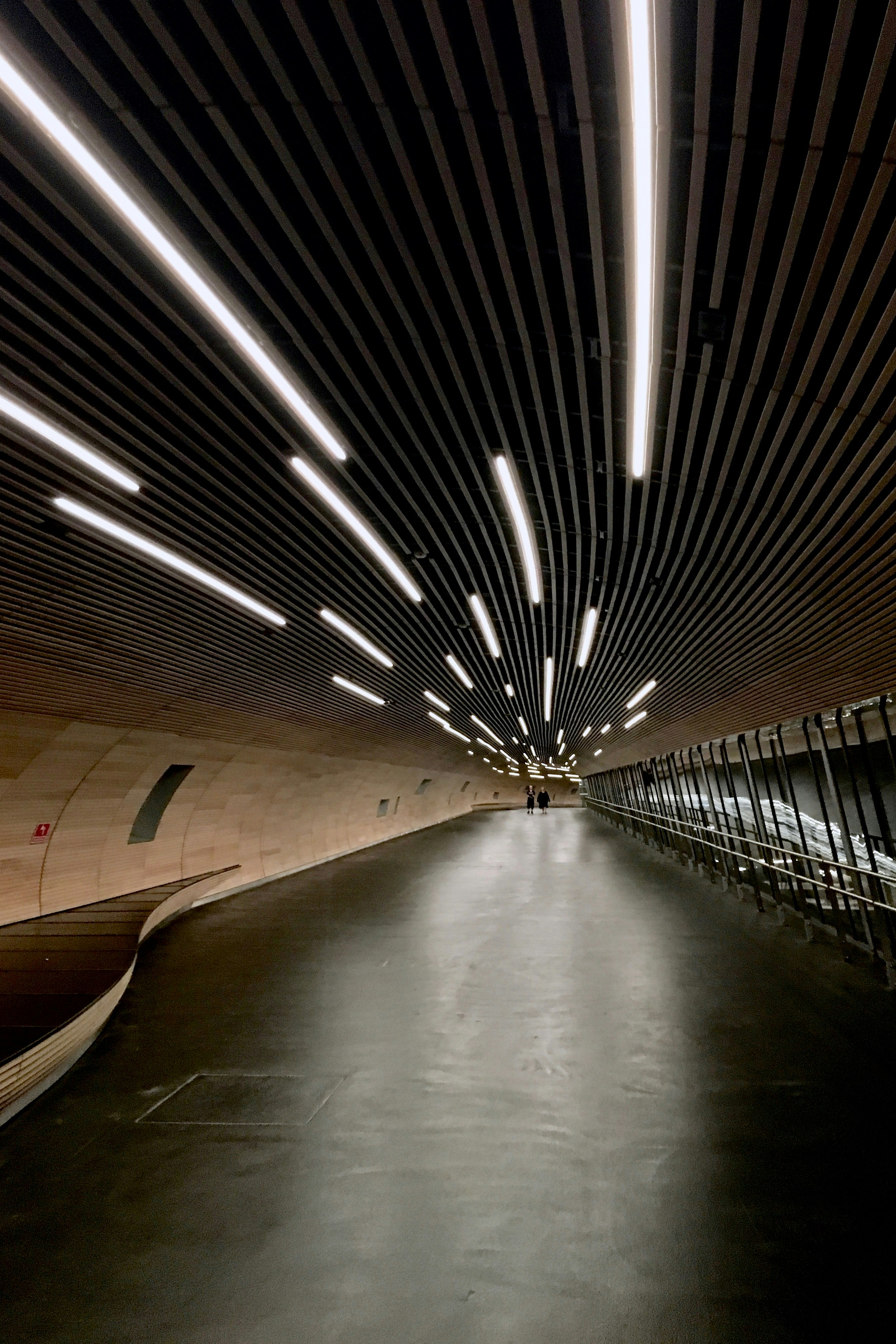 Photo by moisamihai092