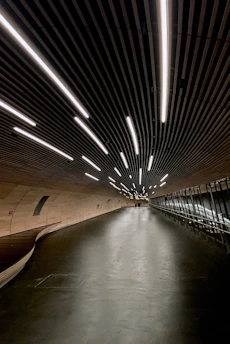 Modern tunnel entrance and a futuristic building with sleek architectural lines