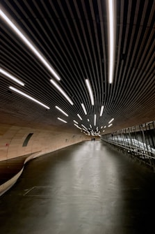 A modern tunnel with sleek, futuristic design elements features a curved pathway with overhead linear lighting. The ceiling is composed of parallel lines of lights, creating a dynamic pattern that enhances the perspective depth. There is a long, winding walkway with smooth surfaces, enclosed by a combination of glass and smooth stone or concrete walls. Two figures can be seen in the distance, adding a sense of scale.