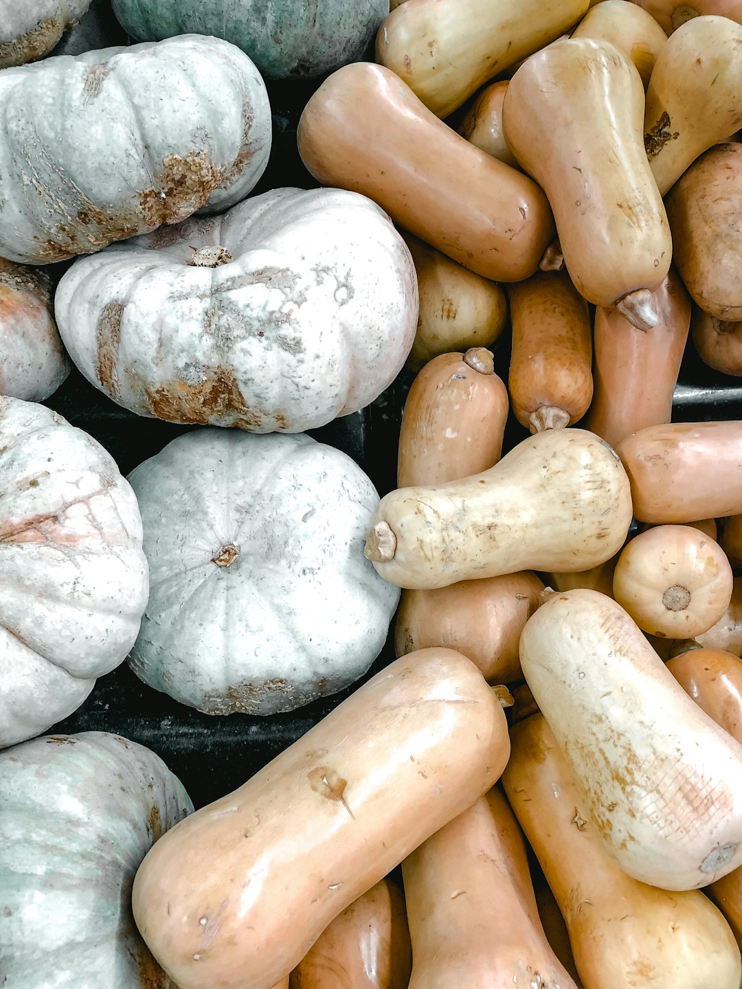 orange pumpkin and butternut squash