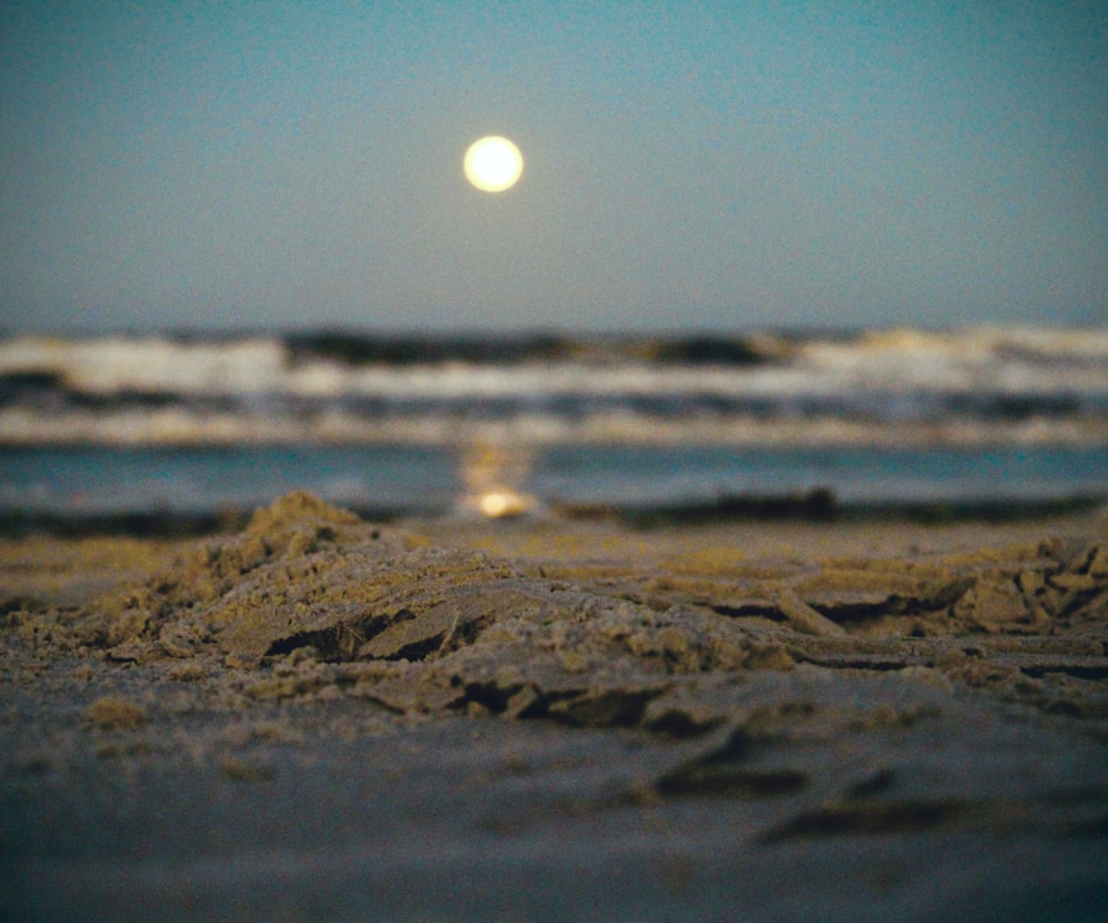 body of water showing full moon