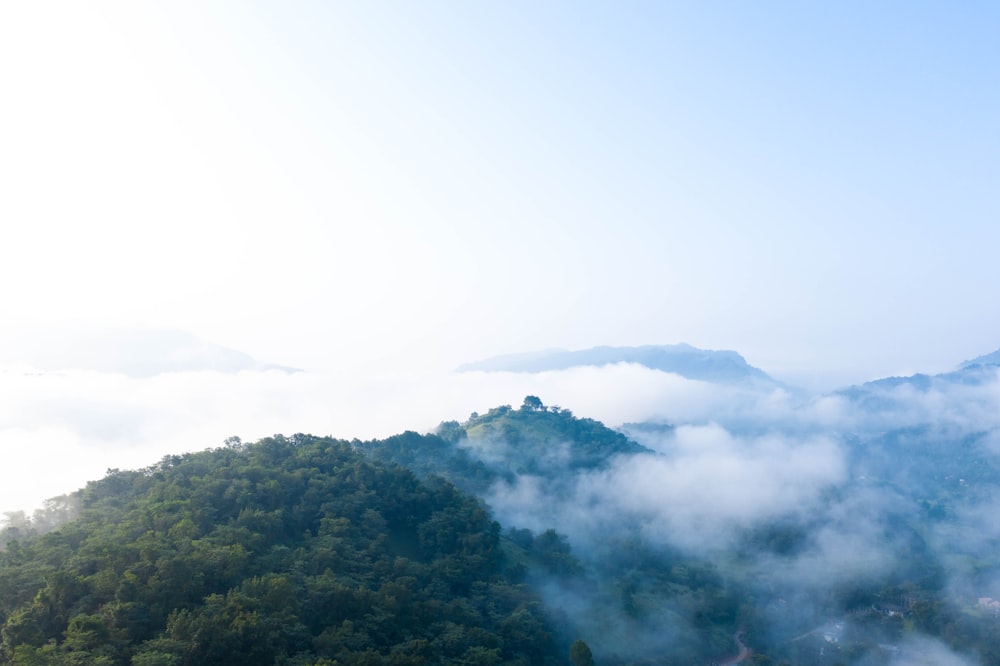 view of mountain with fogs