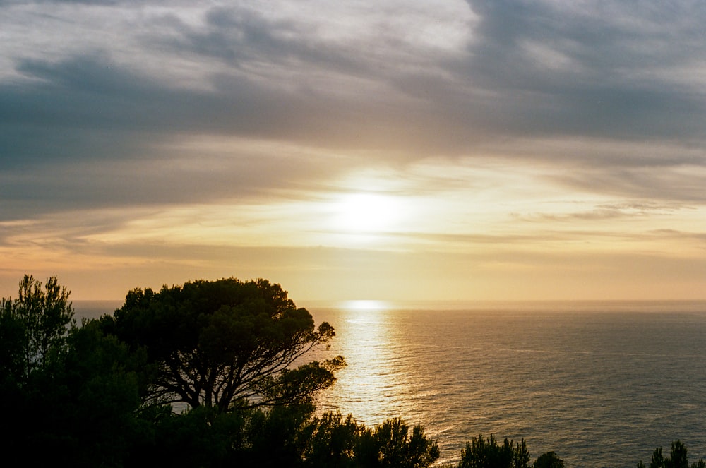 sea during sunrise