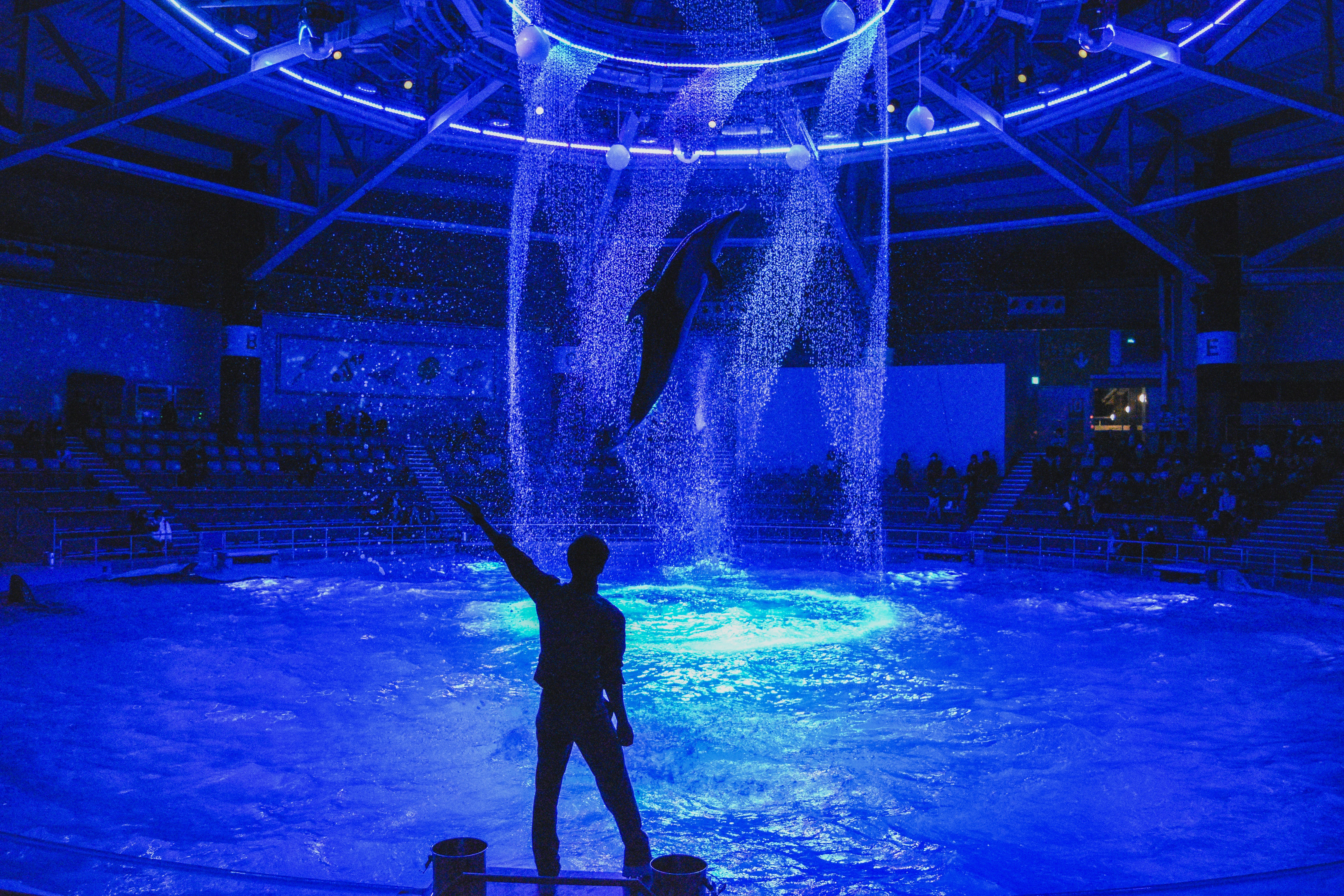 silhouette of man performing on stage
