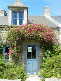 An elegant white door framed by vibrant flowers on a charming cottage.