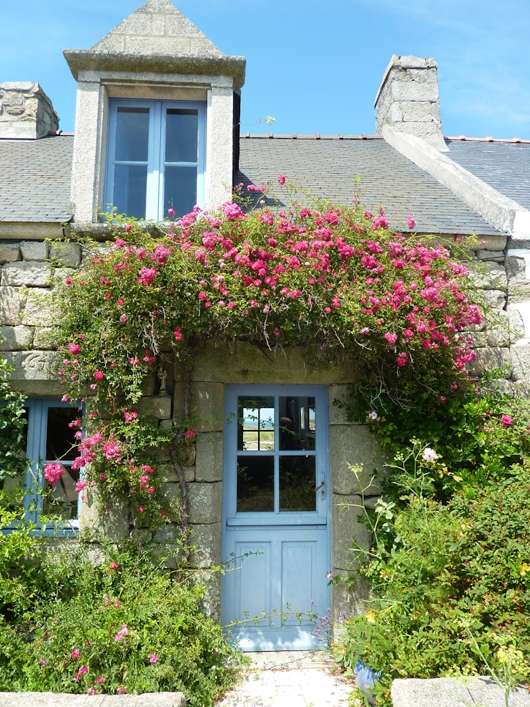Cozy Cottage
