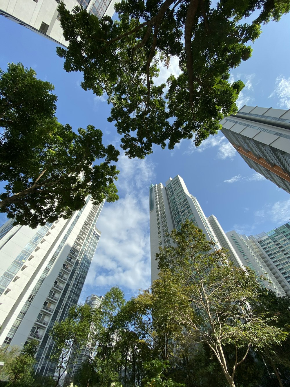 white buildings