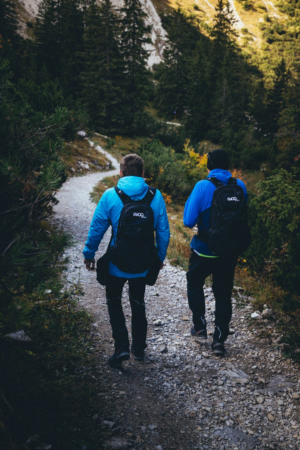 two people walking on pathway near trees during daytime