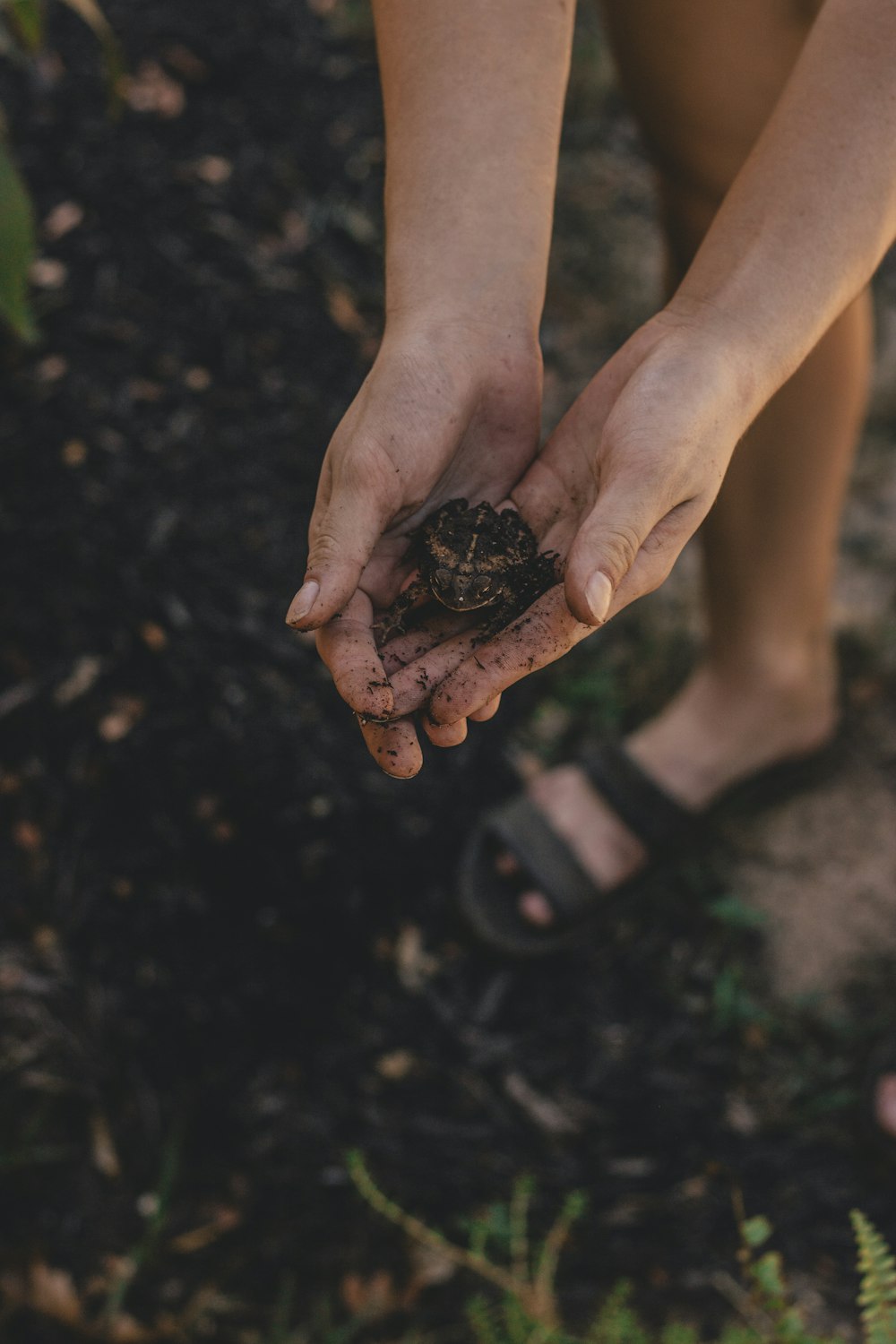 person holding seed