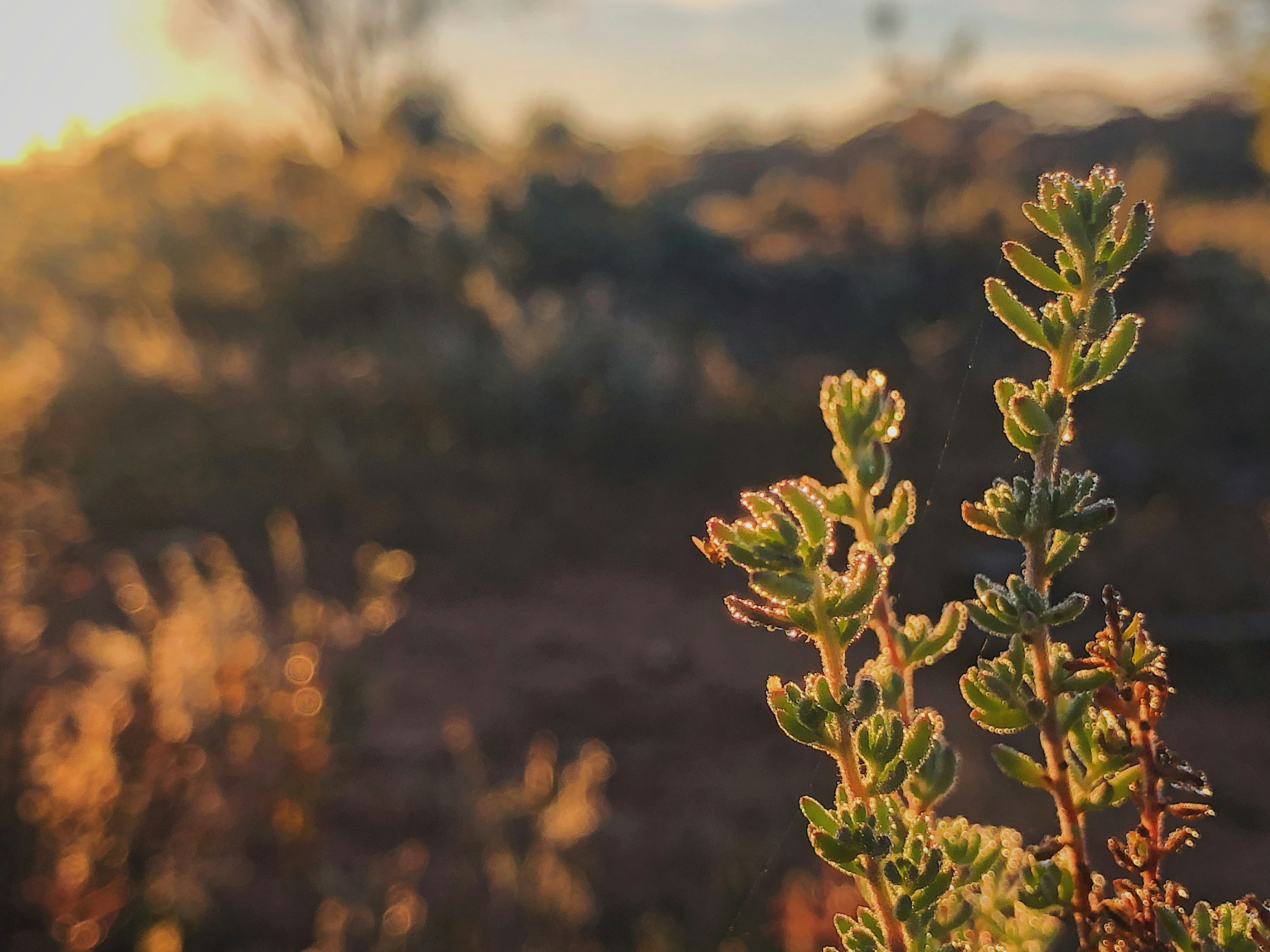 Photo by whereiskylenow