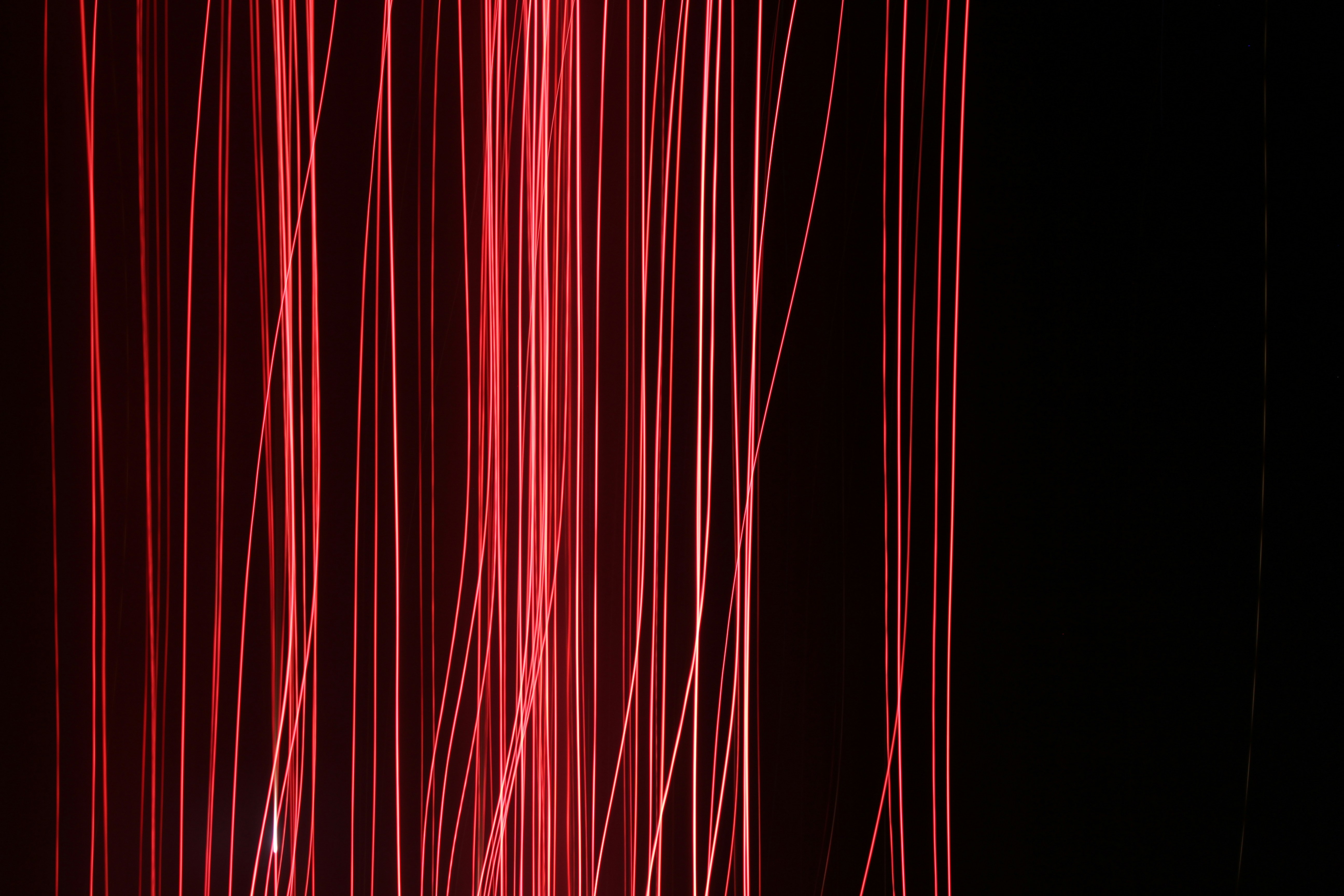 Photo by levi_midnight