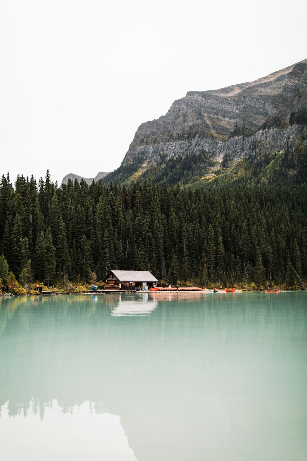 a body of water surrounded by a forest