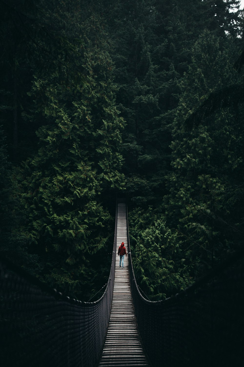 woman walking on hanging bridge surrounded by trees