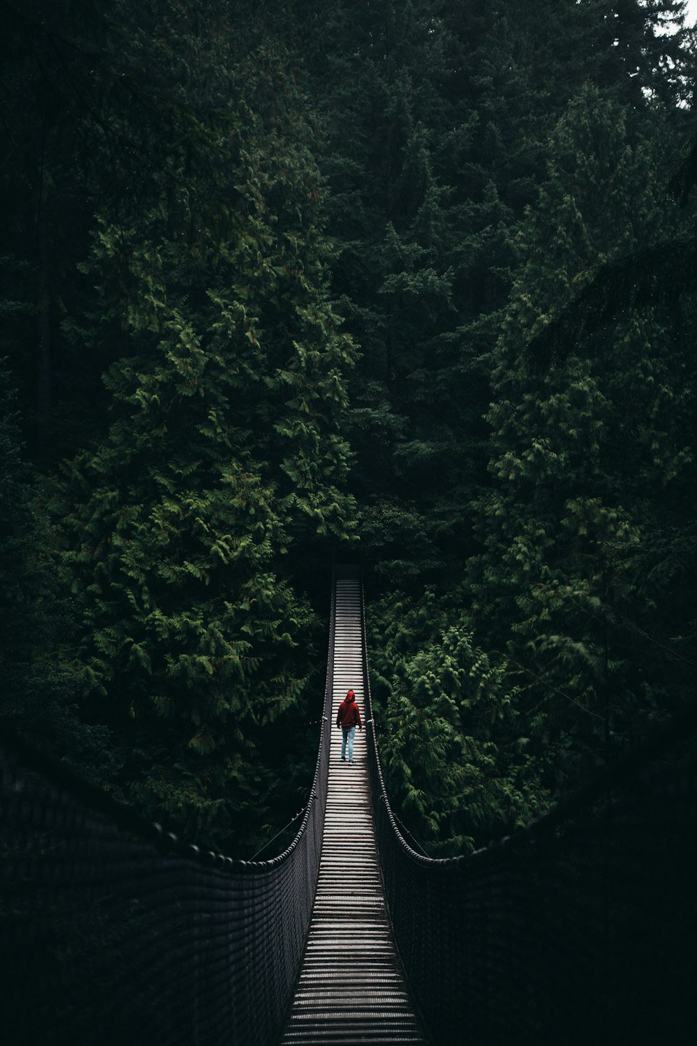 Mujer caminando en puente colgante rodeado de árboles