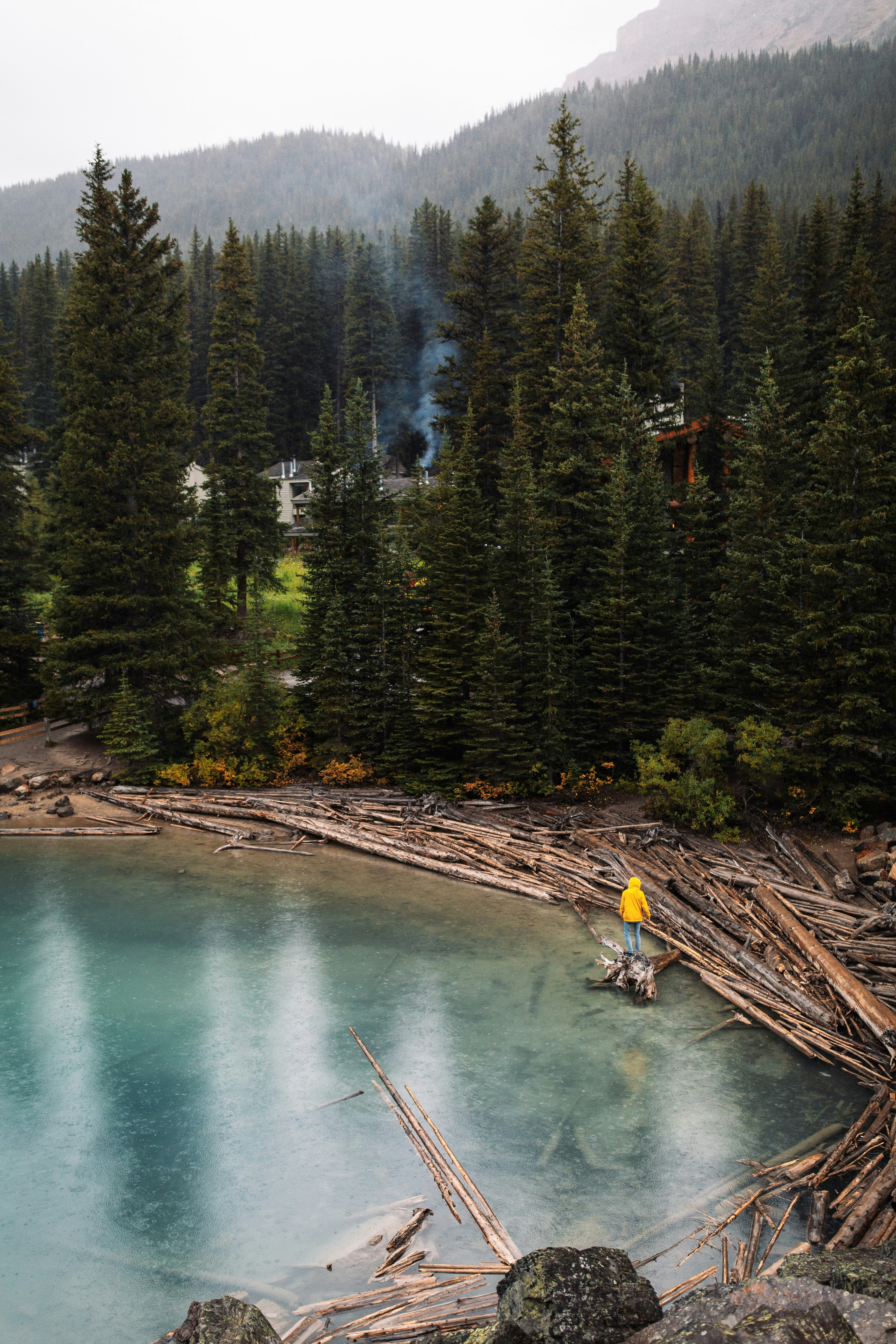 How Digital Platforms Reshape Traditional Music Distribution