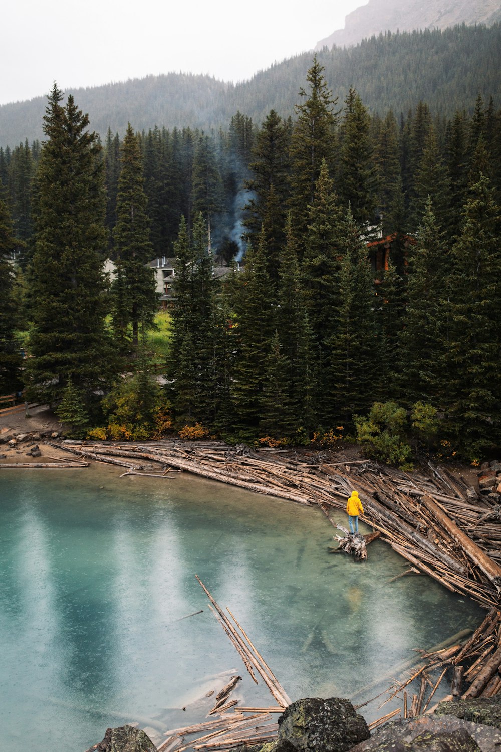 calm body of water surrounded with trees during daytime