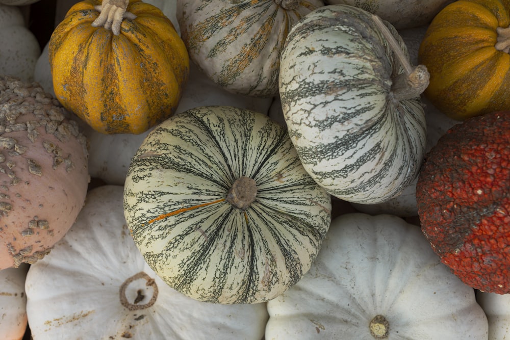 bunch of pumpkins