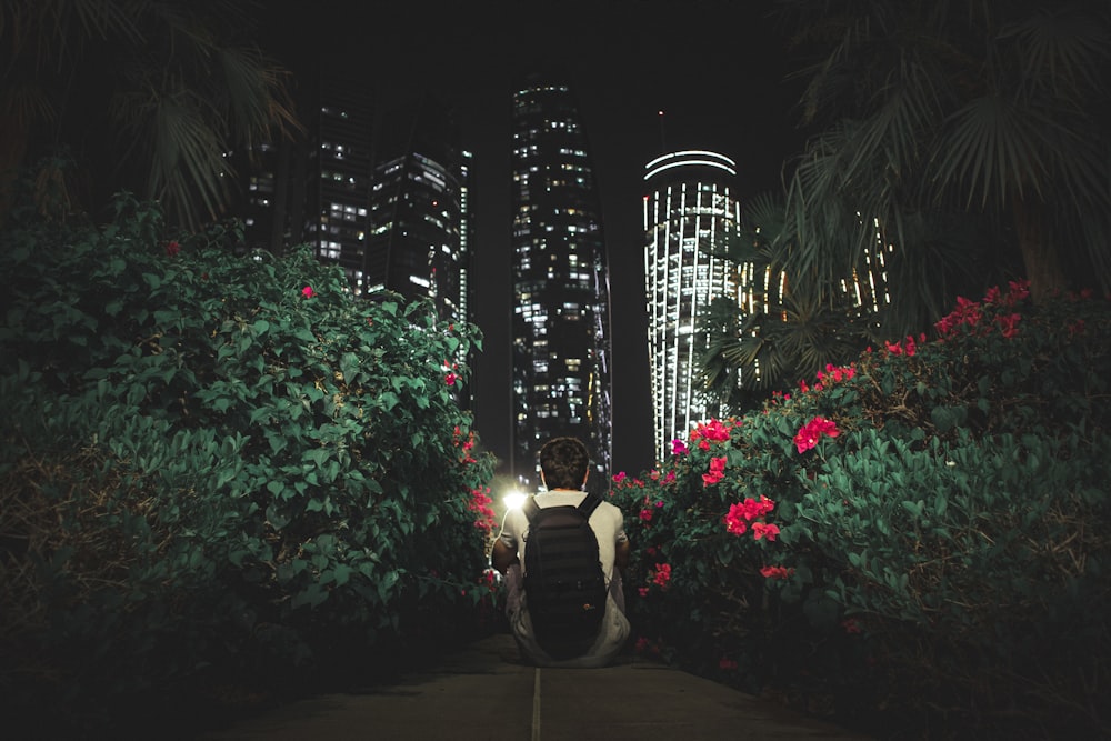 man sitting between flowers facing lighted high-rise buildings