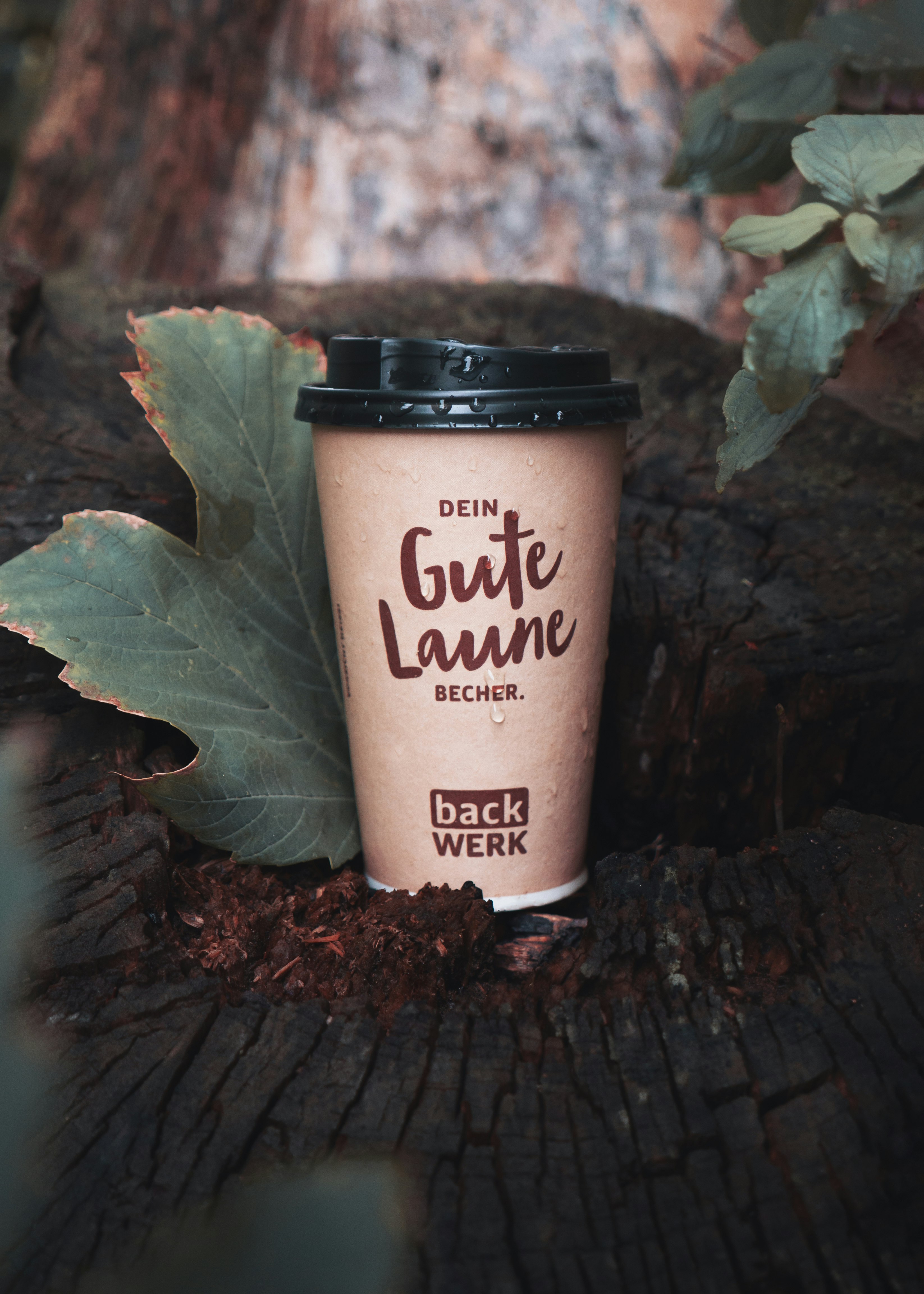 paper cup near leaves