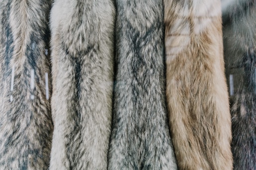 a bunch of fur coats hanging on a rack