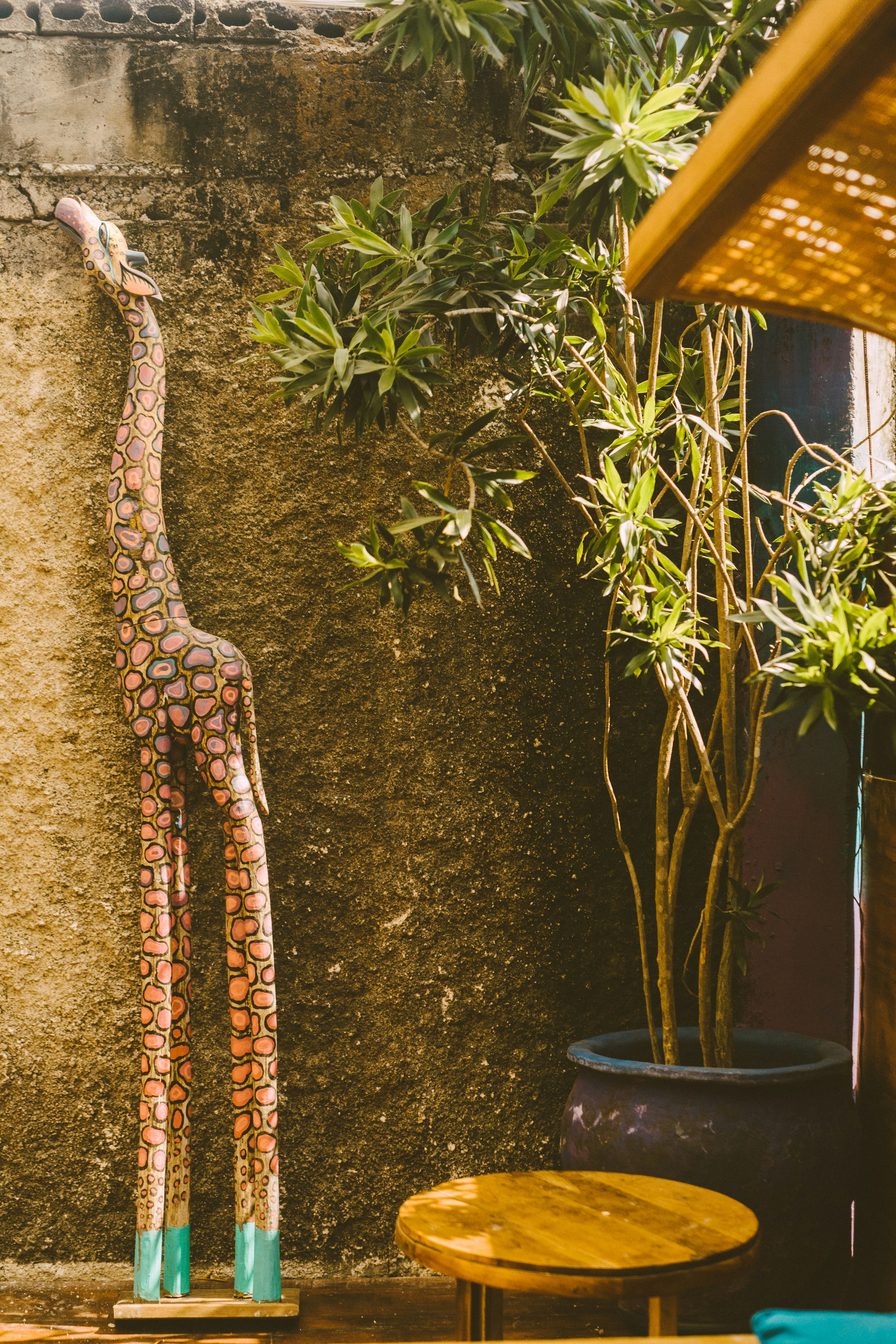 Photo by chrisragland