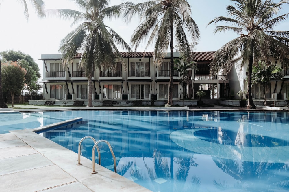 green palm trees and pool