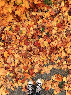A pair of black and white sneakers stand on a ground covered with a thick layer of fallen autumn leaves in shades of orange, red, and yellow. The scene captures the essence of fall with vibrant colors and a sense of crispness in the air.