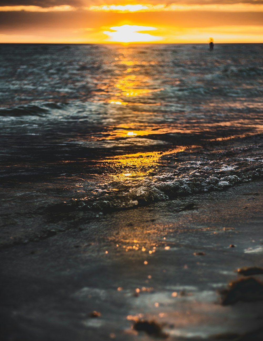 seashore during golden hour