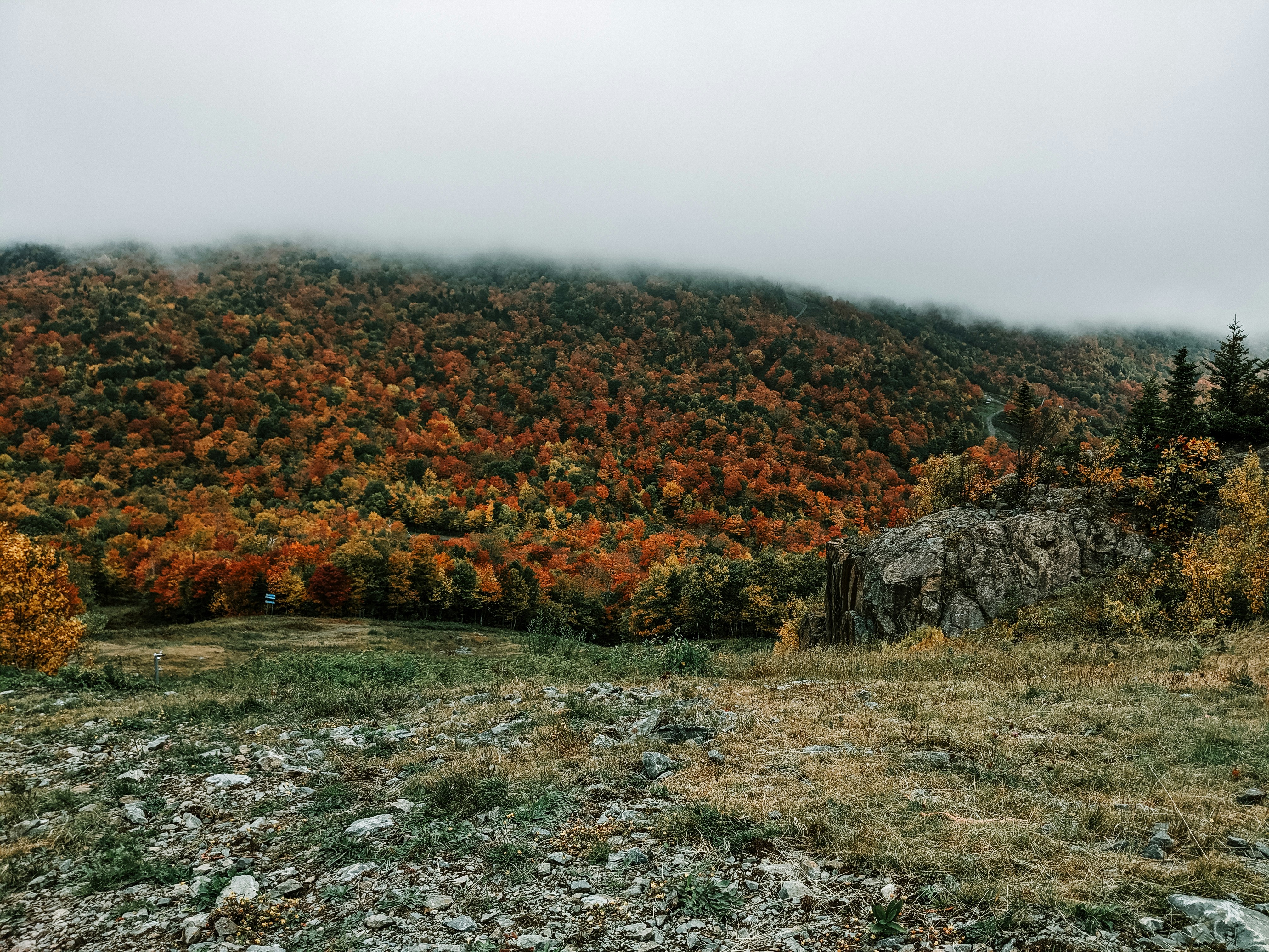 Photo by tocsonimage