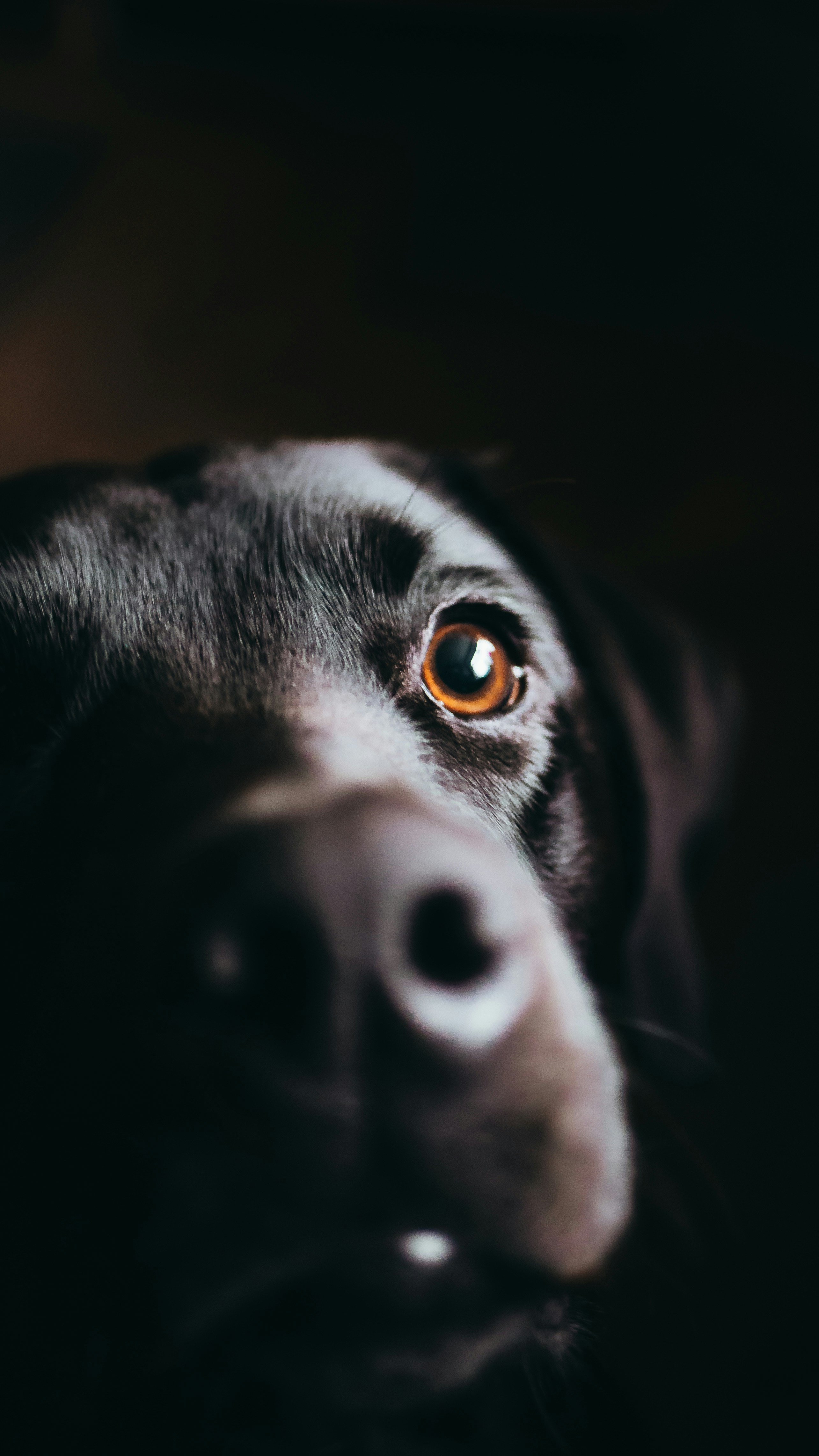 Photo by charlieslenz