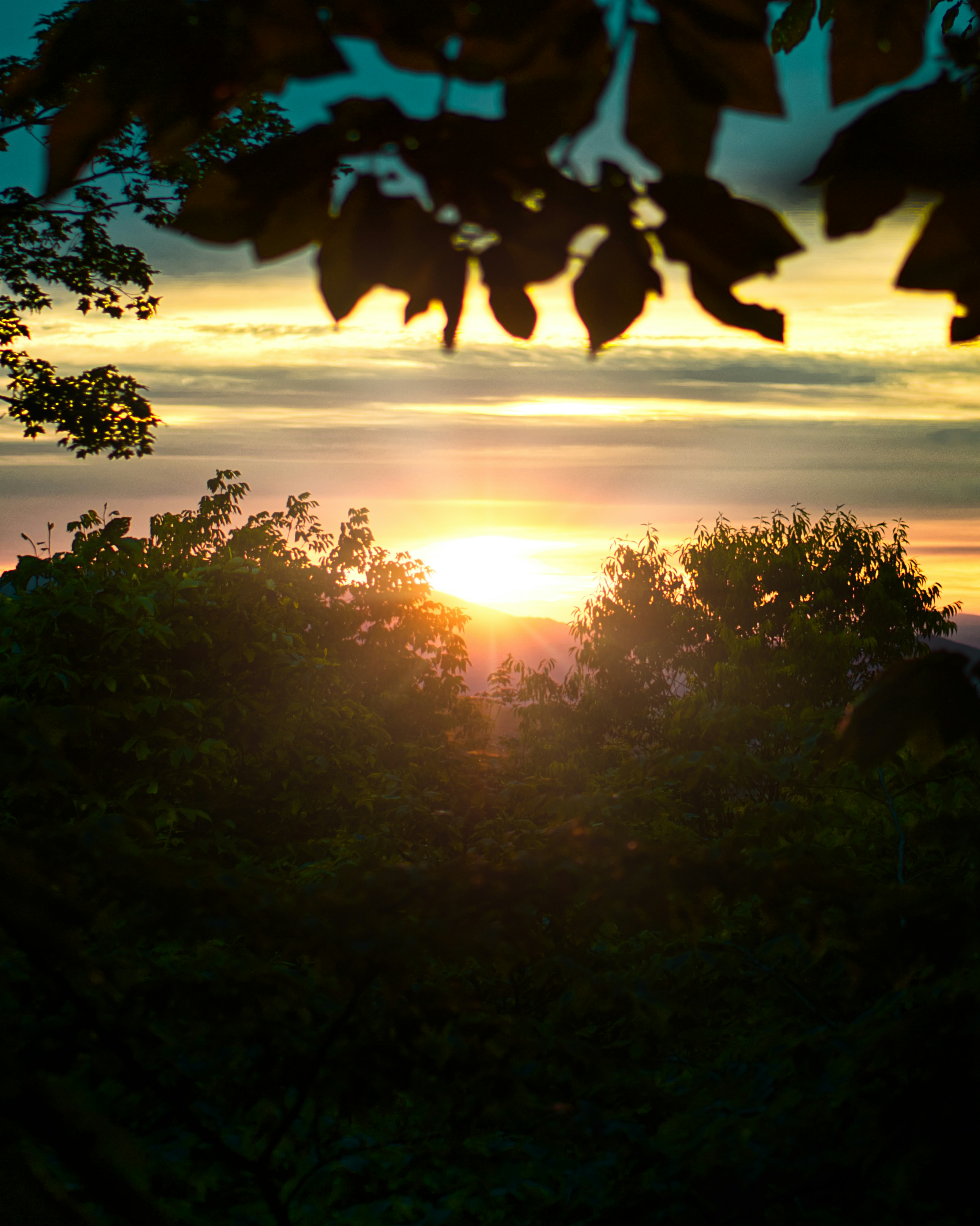 Photo by hrtsouldesign