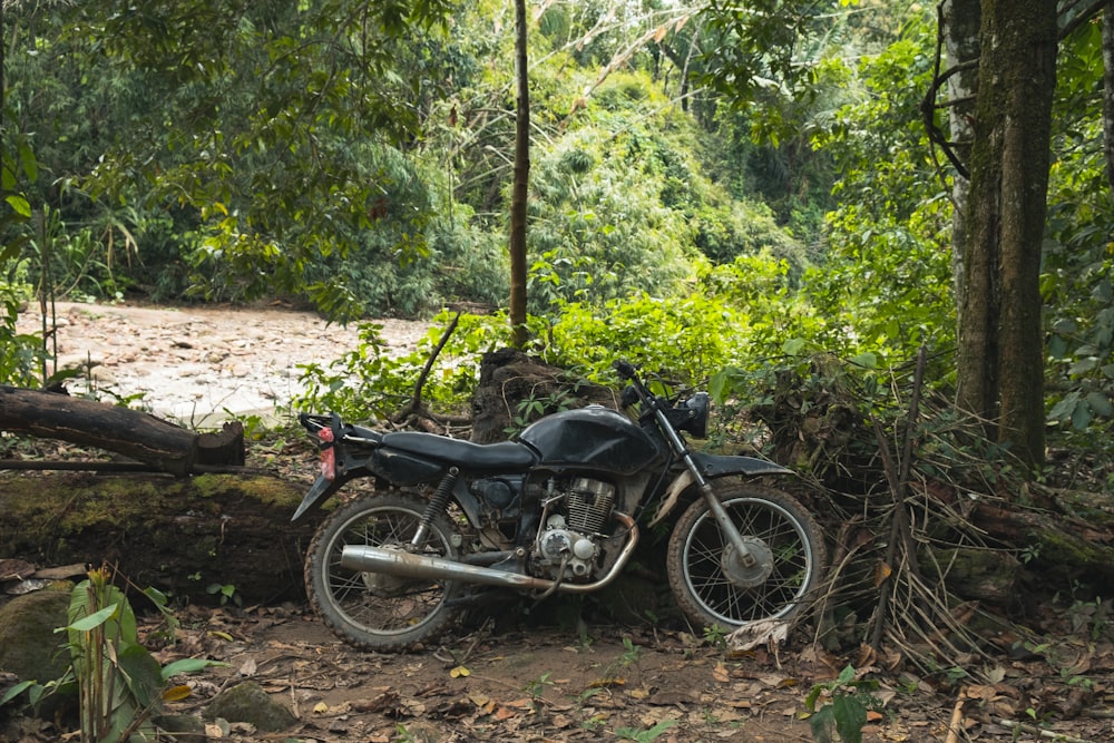 motorcycle parked beside log near river