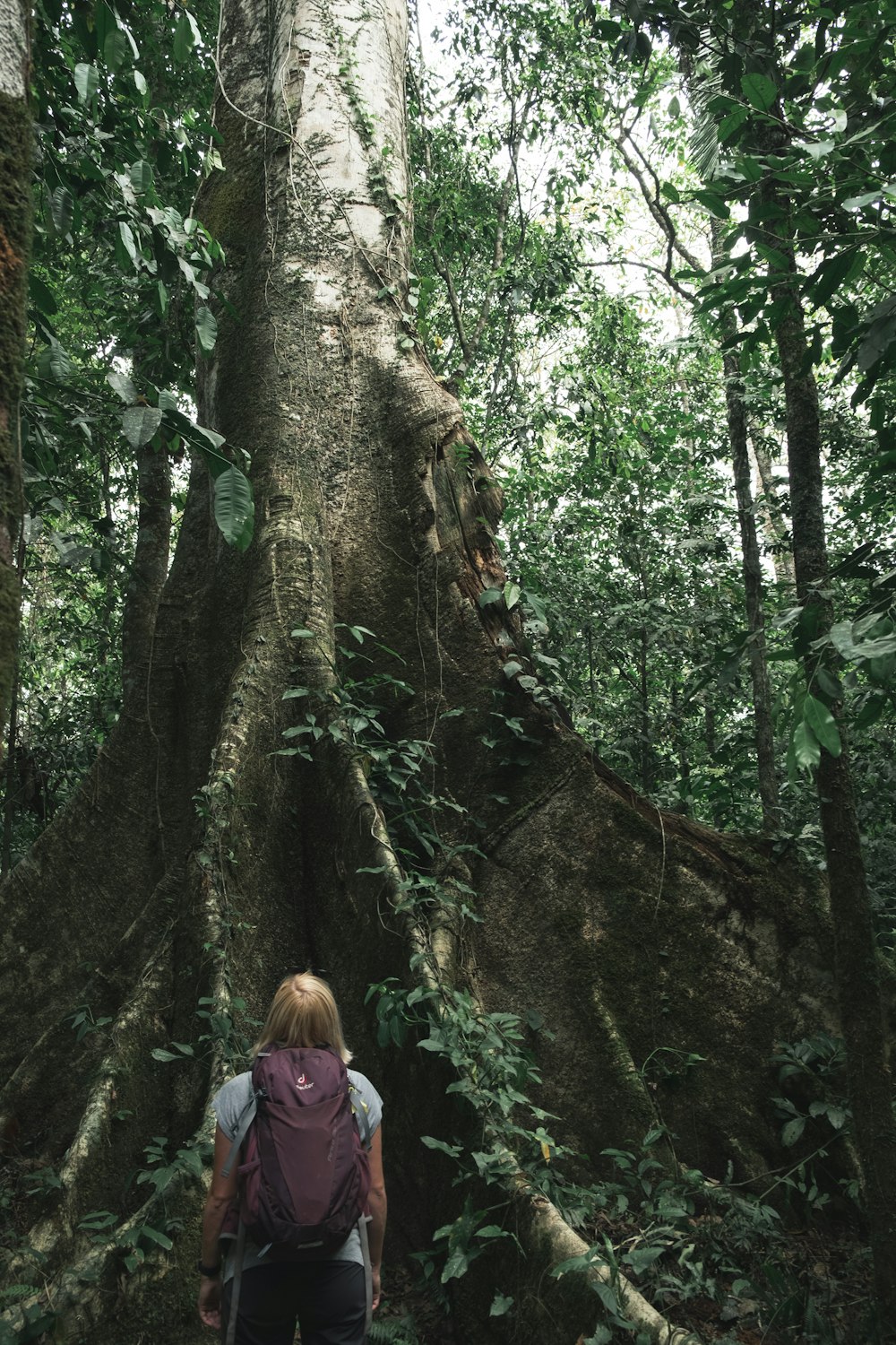 woman wearing brown backpack