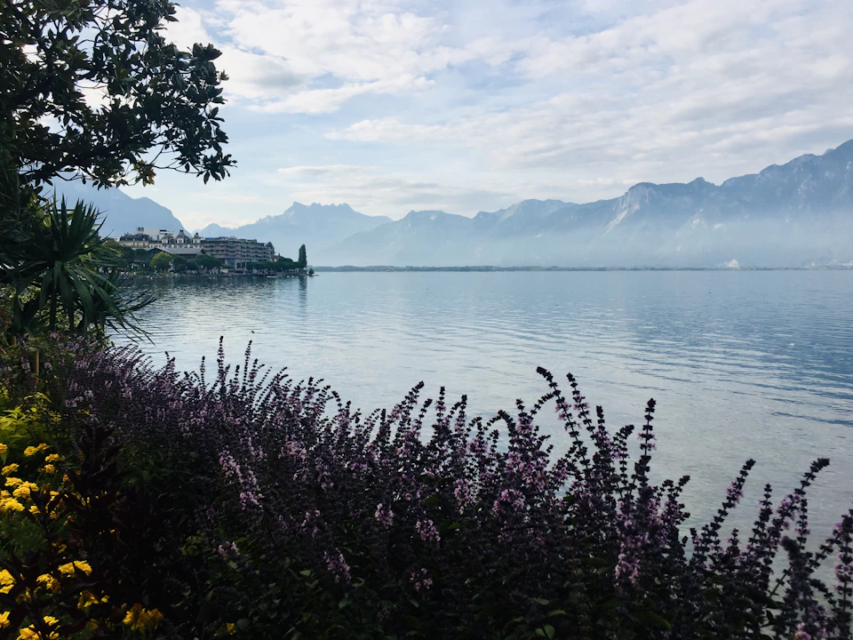 The image depicts a serene lake surrounded by mountains, with a clear blue sky above and fluffy white clouds below. The calm water reflects the majestic mountain range that stretches across the background. On one side of the lake, there is a lush green bush adorned with purple flowers, adding a touch of color to the scene. In the distance, several buildings can be seen nestled among the mountains, blending harmoniously with their natural surroundings.