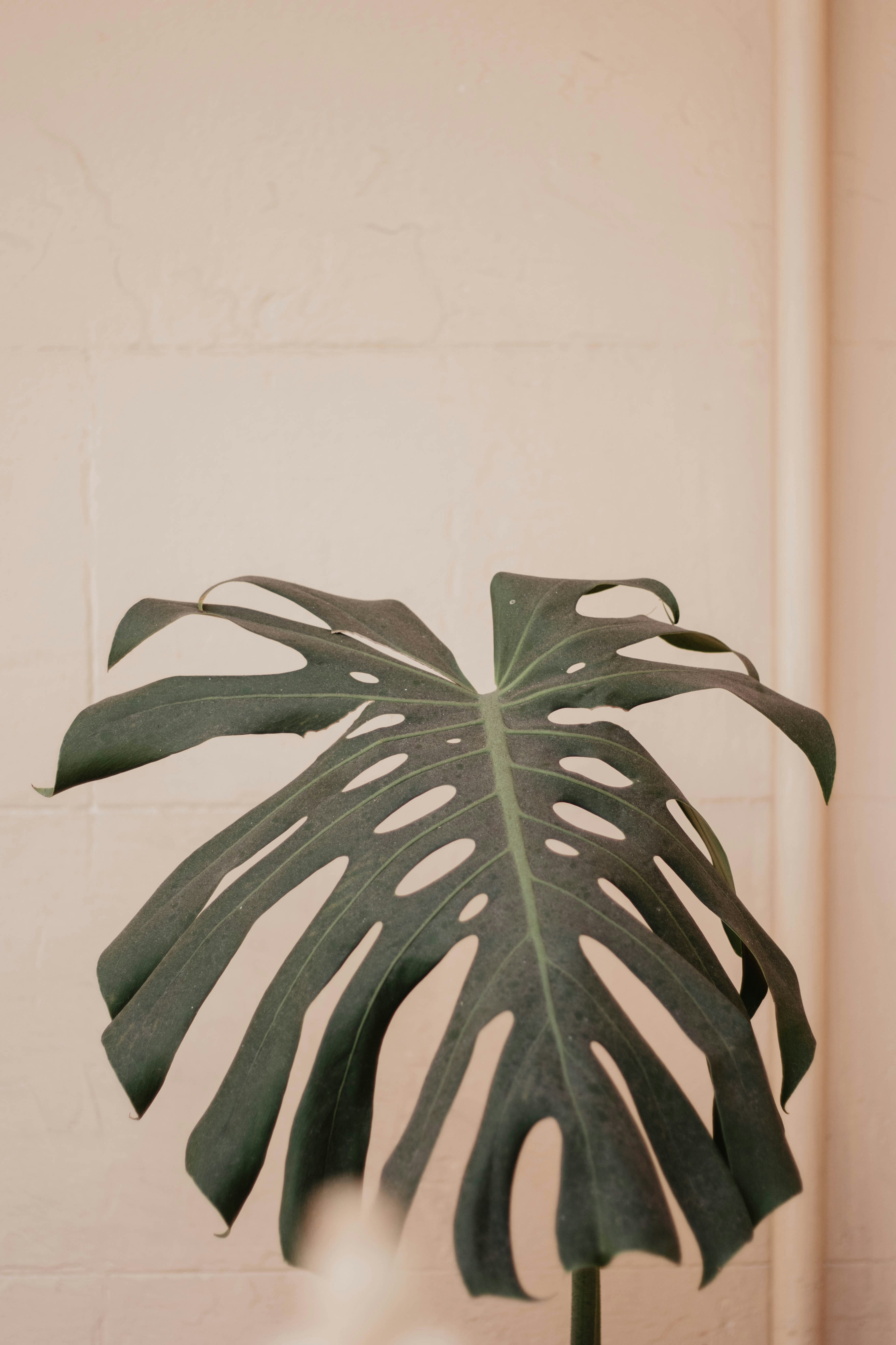 Photo by crainecreative