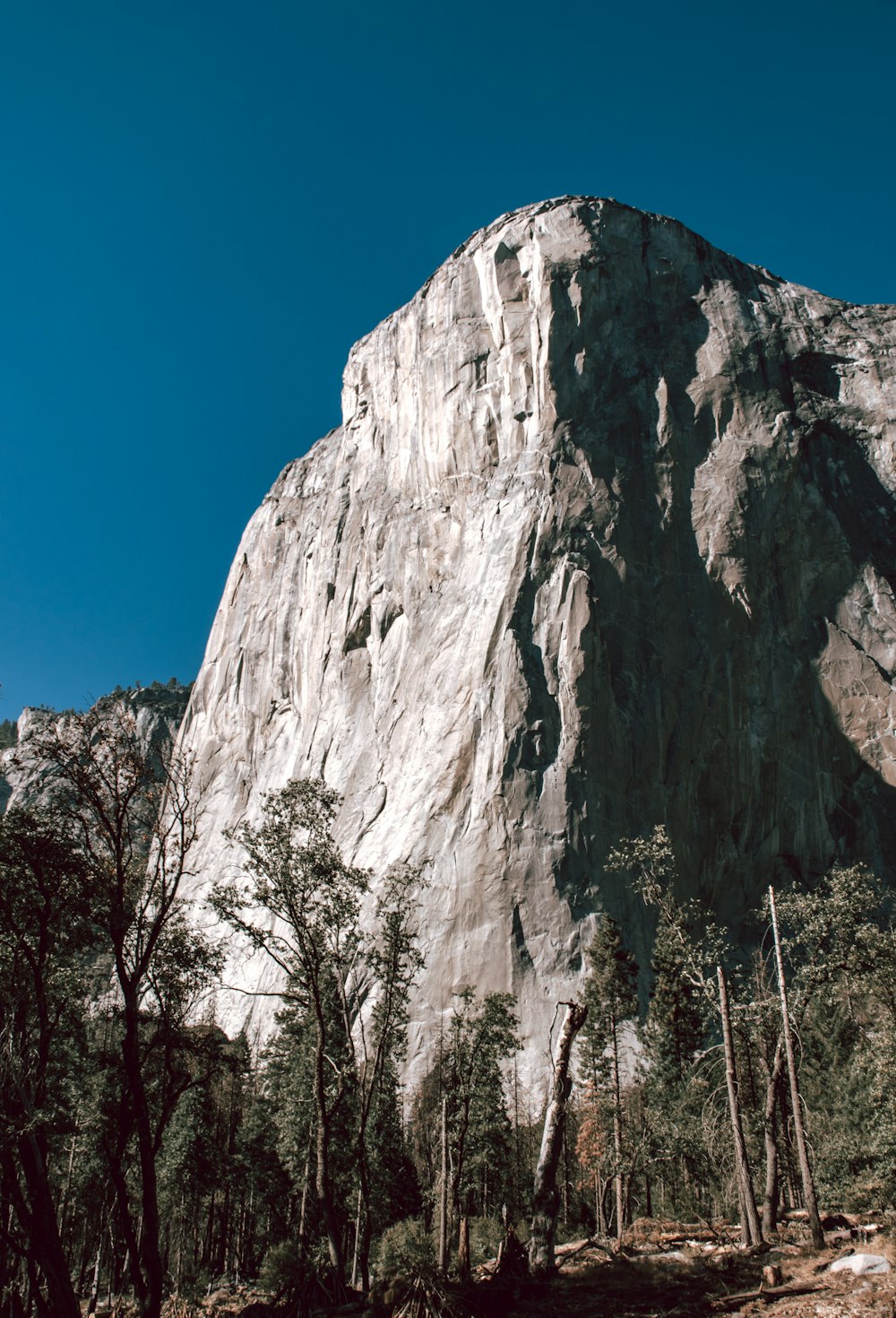 rocky mountain under clear blue sky