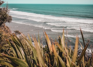 time-lapse photography of waves splashing on seashore