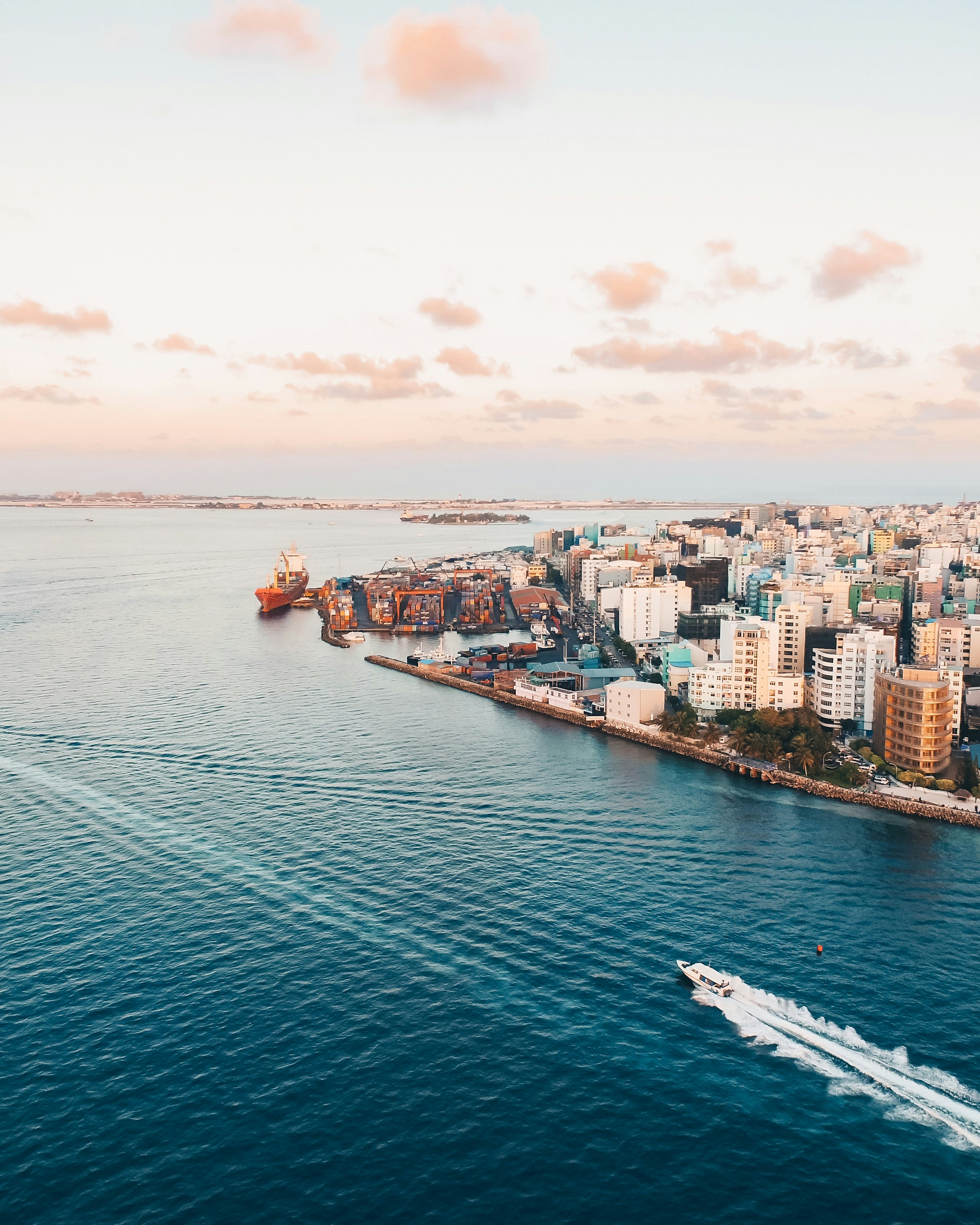 Photo by aquaticbeast