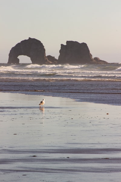Twin Rocks - 从 Beach, United States